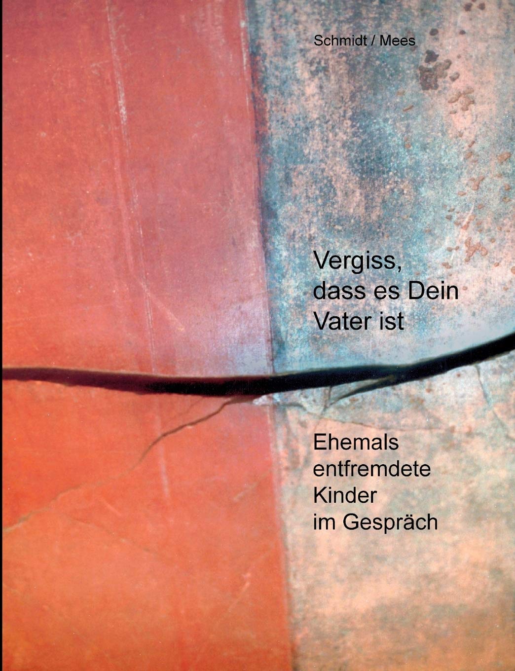 Vergiss, dass es Dein Vater ist! (German Edition),Used