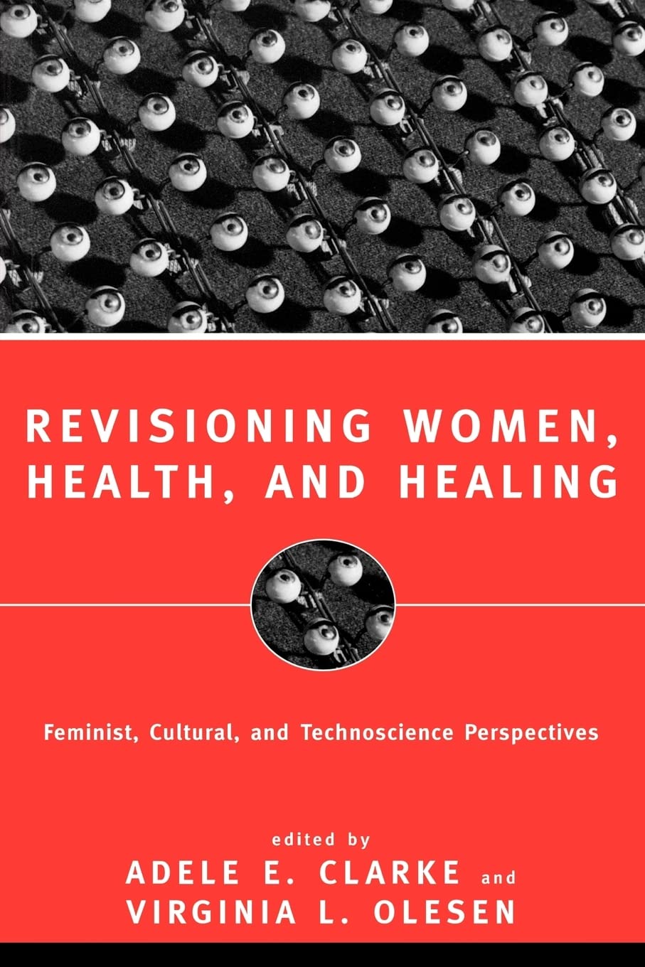 Revisioning Women, Health and Healing,New