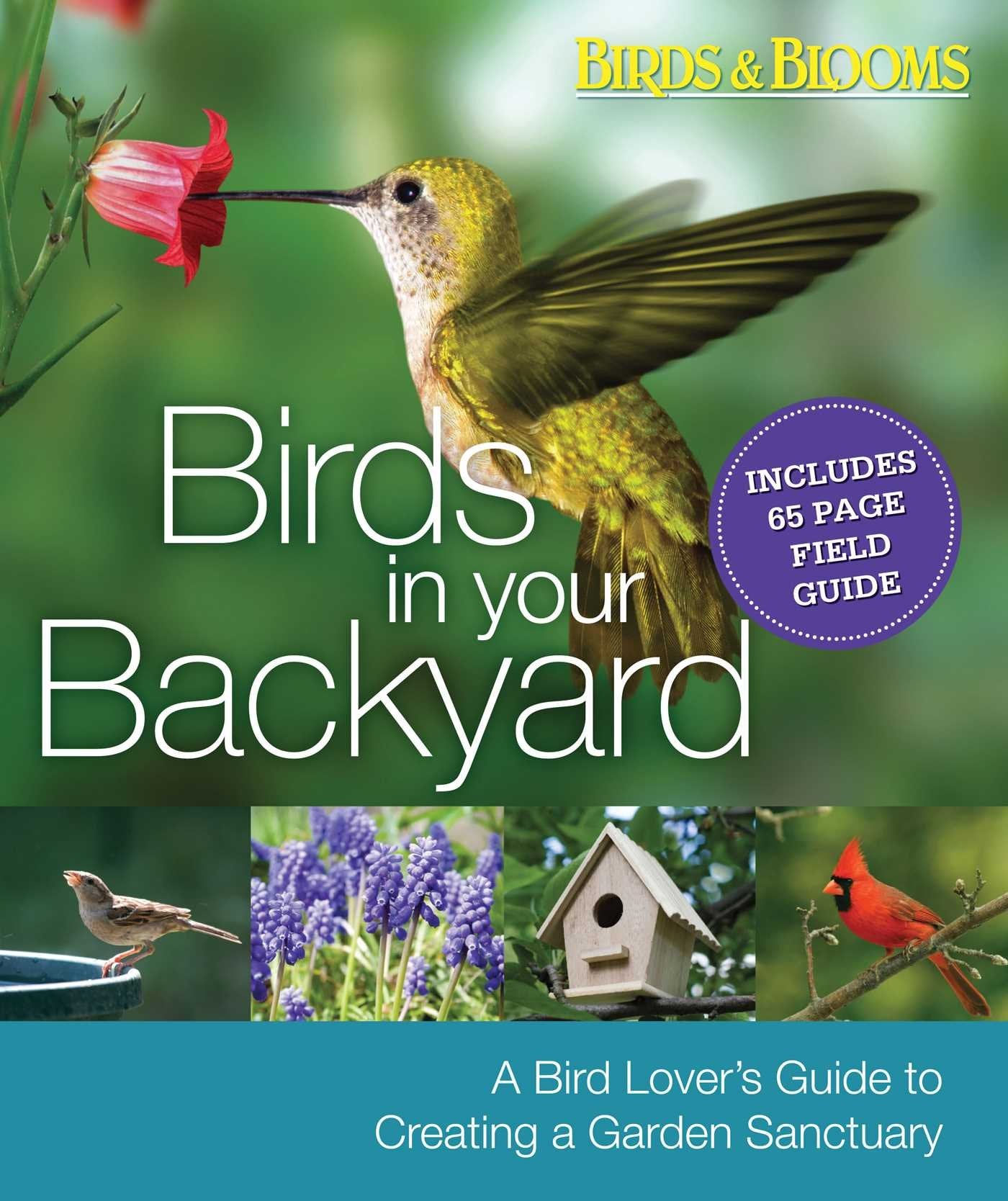 Birds In Your Backyard: A Bird Lover'S Guide To Creating A Garden Sanctuary