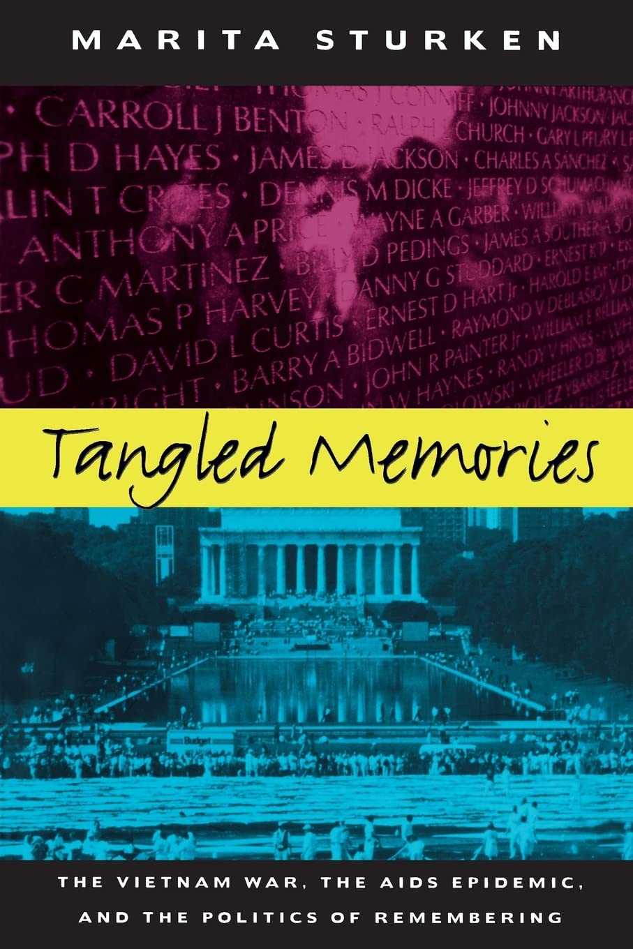 Tangled Memories: The Vietnam War, The Aids Epidemic, And The Politics Of Remembering