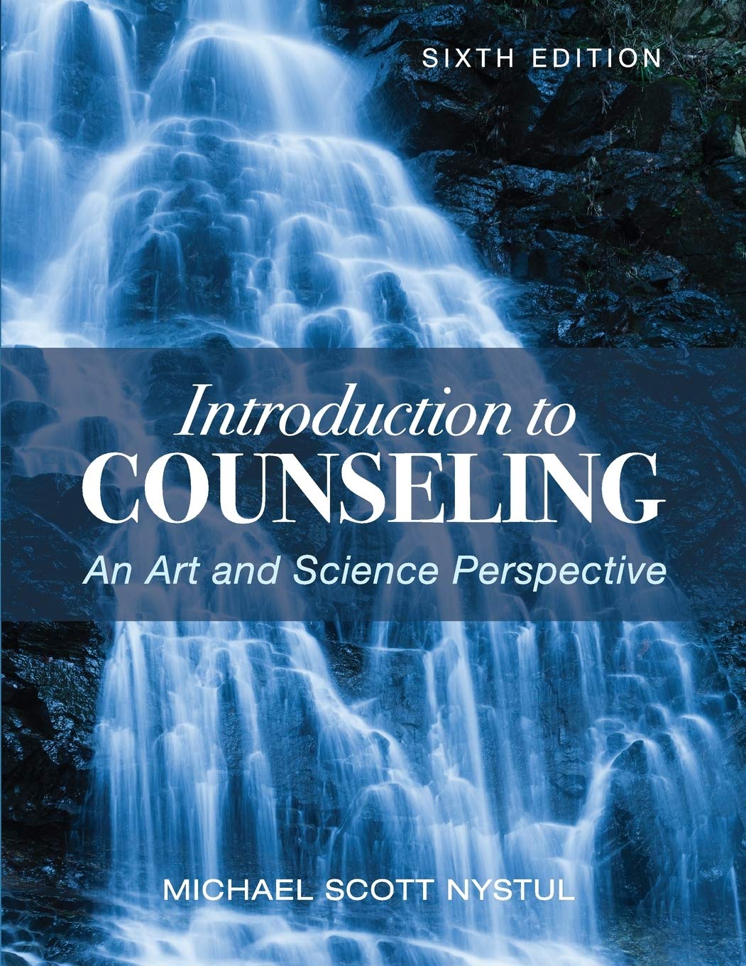 Introduction to Counseling: An Art and Science Perspective,Used
