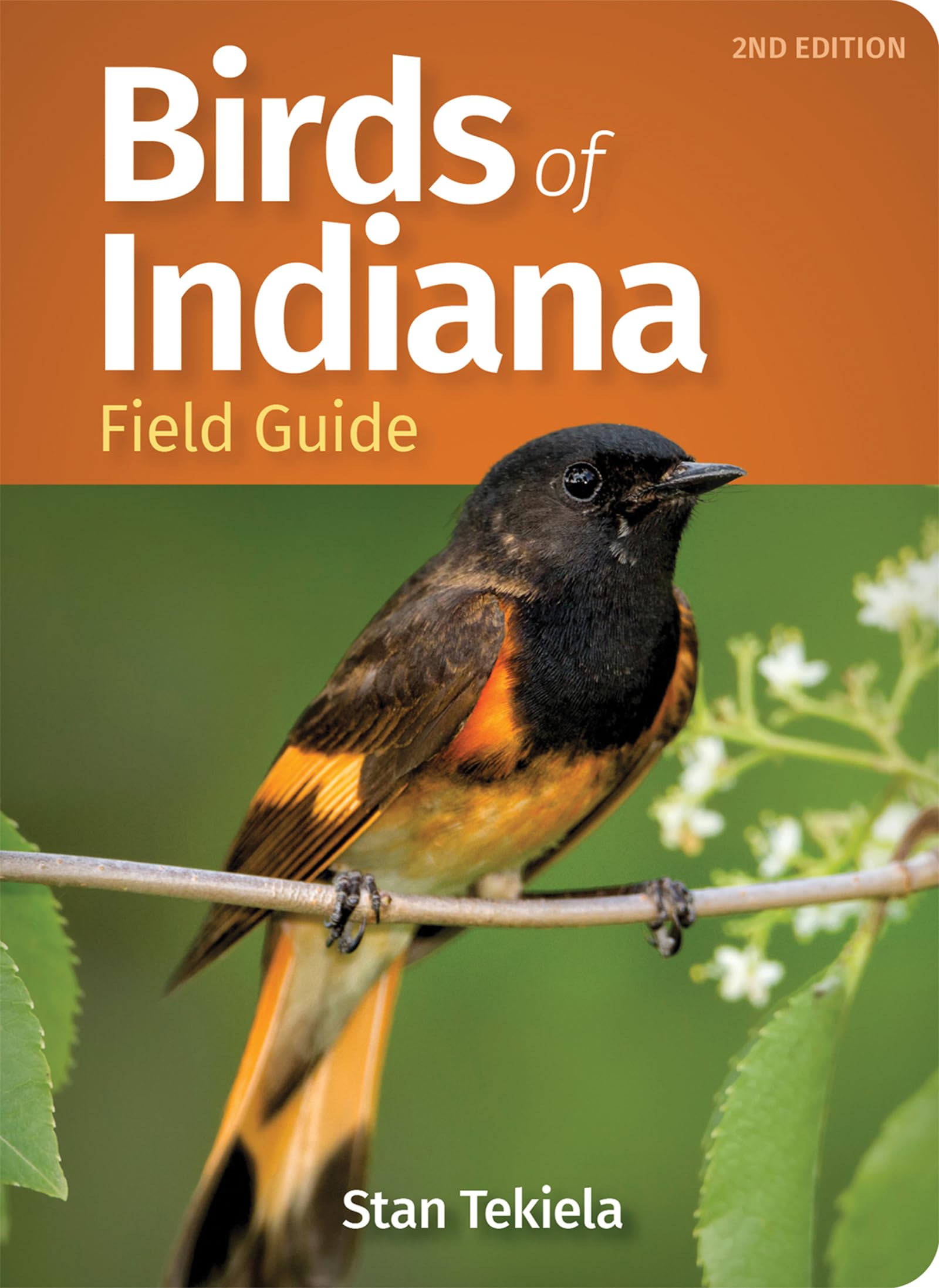 Birds of Indiana Field Guide (Bird Identification Guides),Used