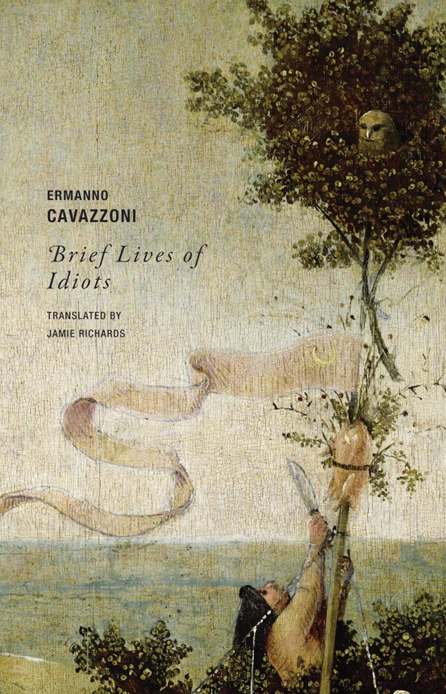 Brief Lives of Idiots,Used