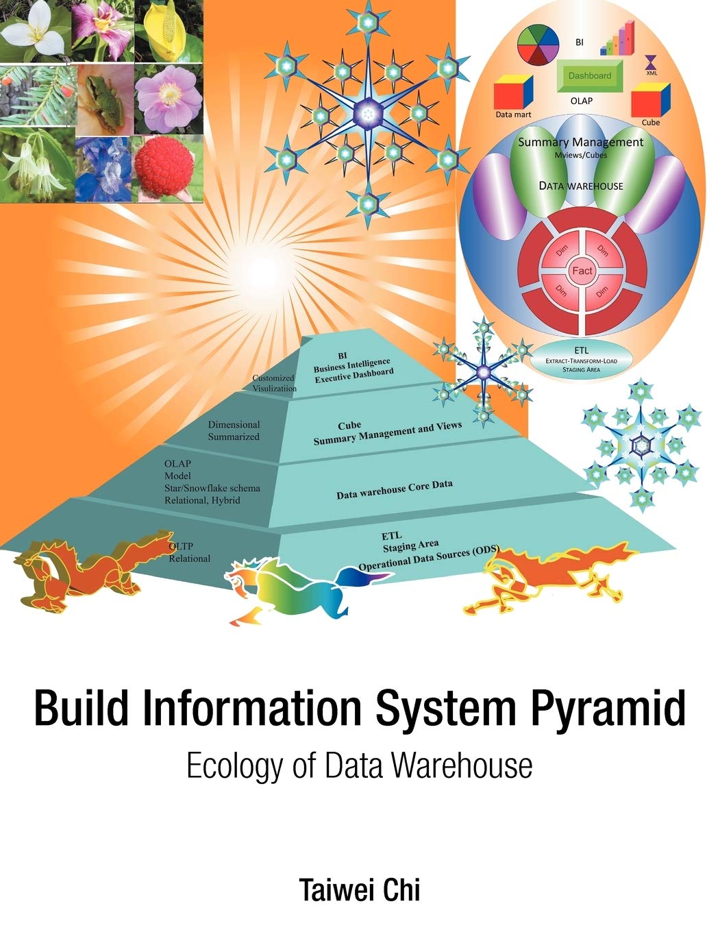 Build Information System Pyramid: Ecology Of Data Warehouse,Used