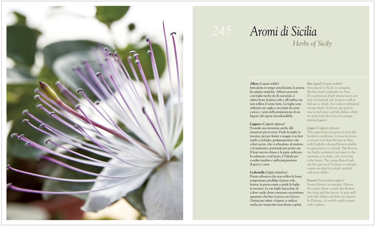 Sicilia in Cucina: The Flavours of Sicily,Used