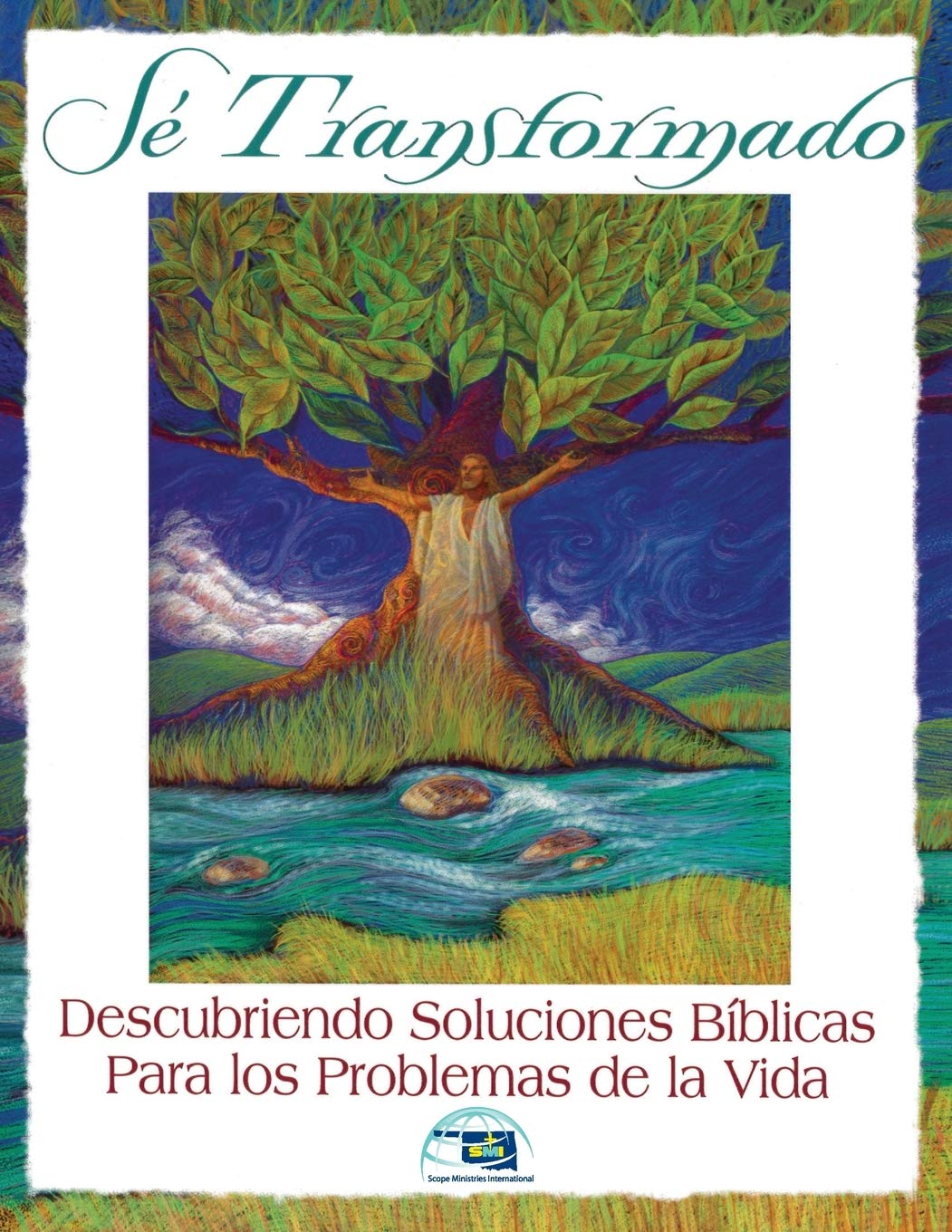 Se Transformado: Descubriendo Soluciones Biblicas Para los Problemas de la Vidas (Spanish Edition),Used