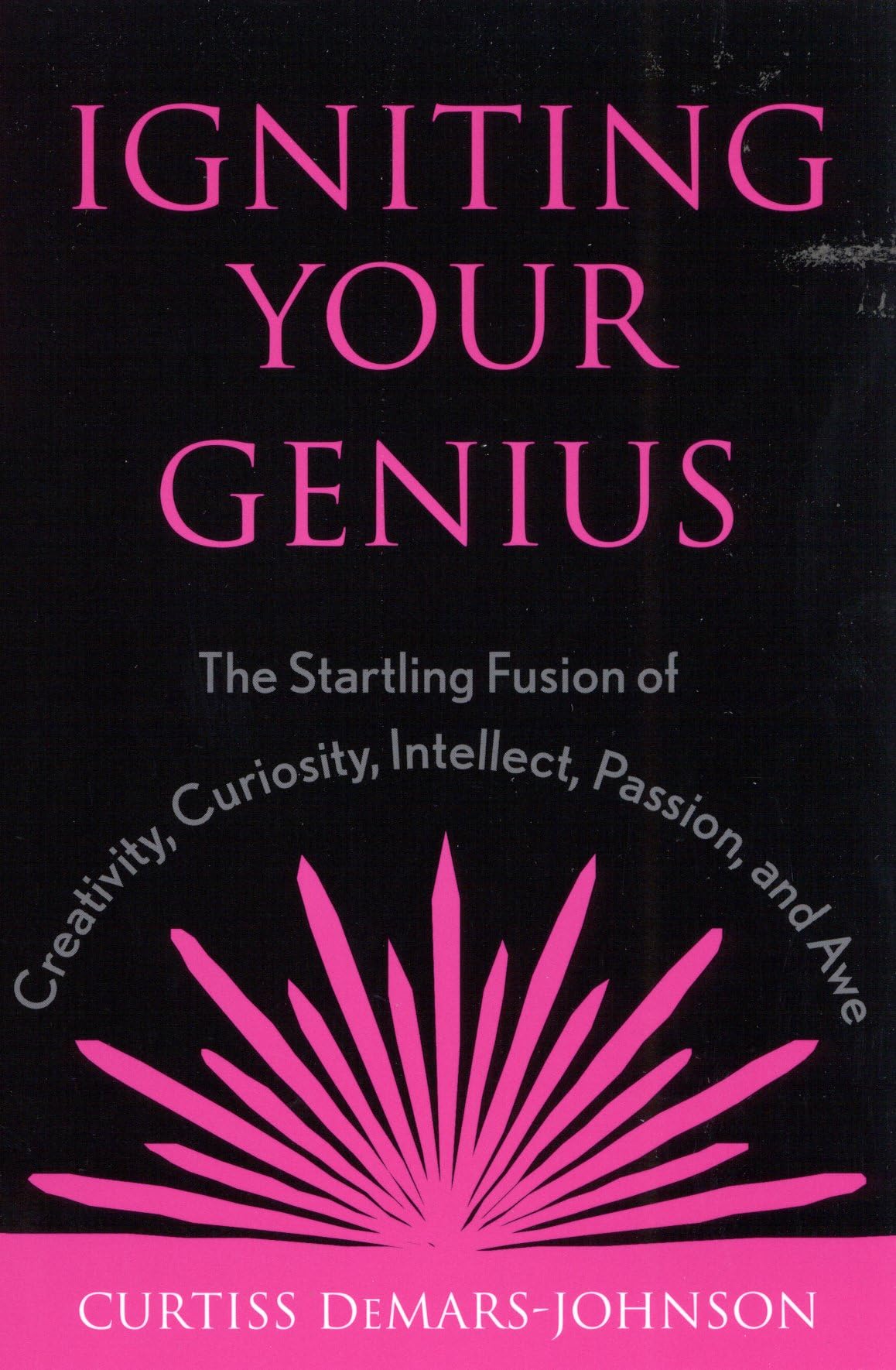 Igniting Your Genius: The Startling Fusion Of Creativity, Curiosity, Intellect, Passion, And Awe,Used