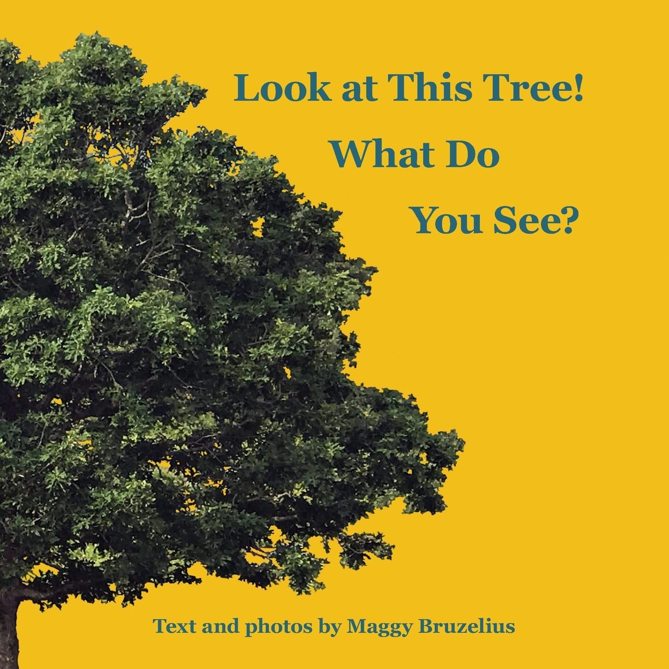 Look at This Tree! What Do You See?,Used