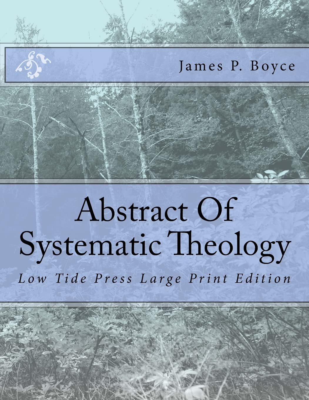 Abstract Of Systematic Theology: Low Tide Press Large Print Edition,Used