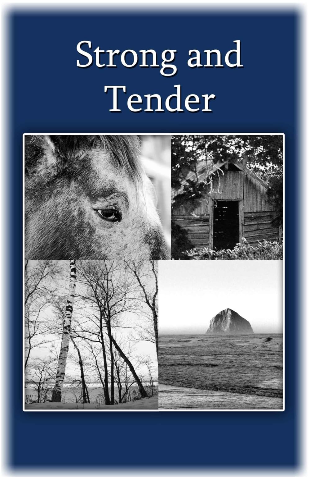 Strong and Tender: A Guide For The Father Whose Baby Has Died,Used