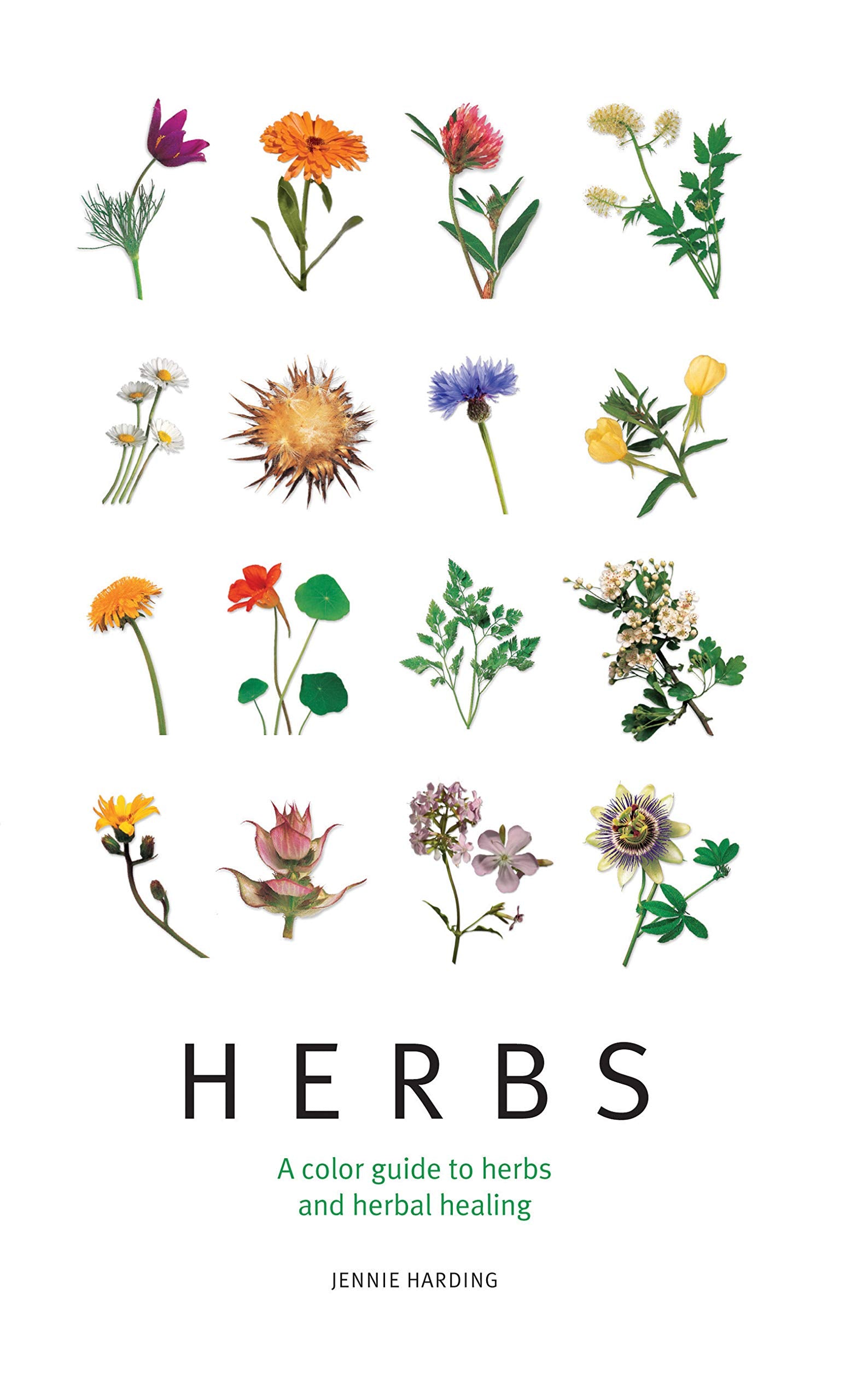 Herbs: A Color Guide To Herbs And Herbal Healing,New