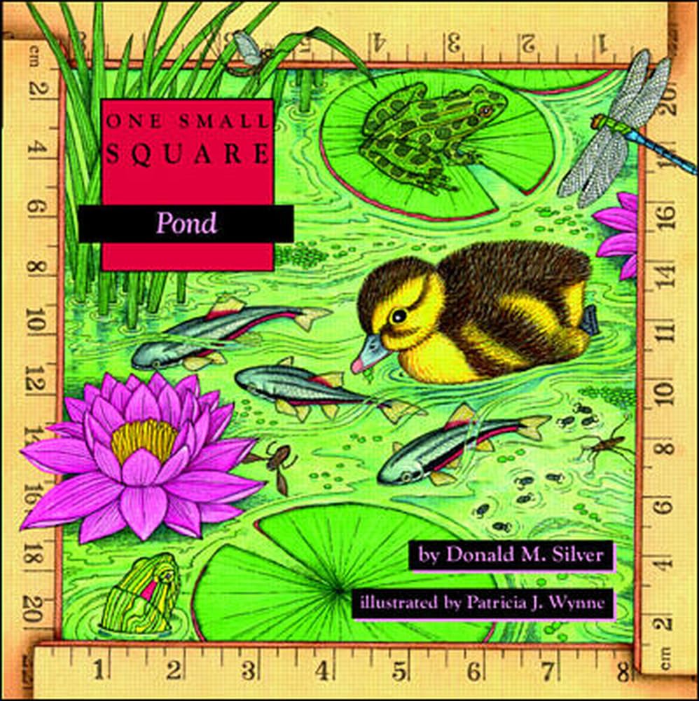 Pond,Used