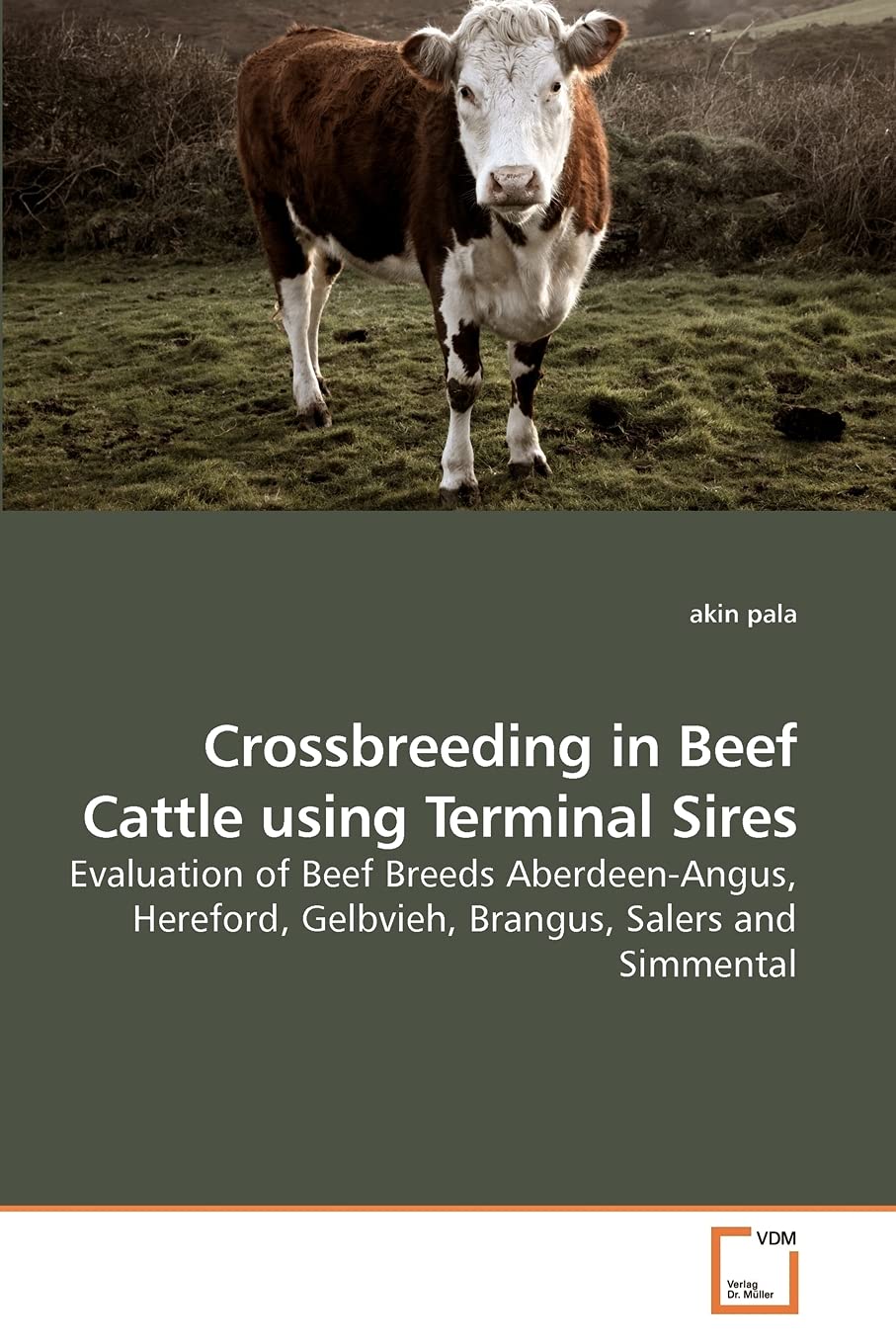 Crossbreeding in Beef Cattle using Terminal Sires: Evaluation of Beef Breeds AberdeenAngus, Hereford, Gelbvieh, Brangus, Salers,Used