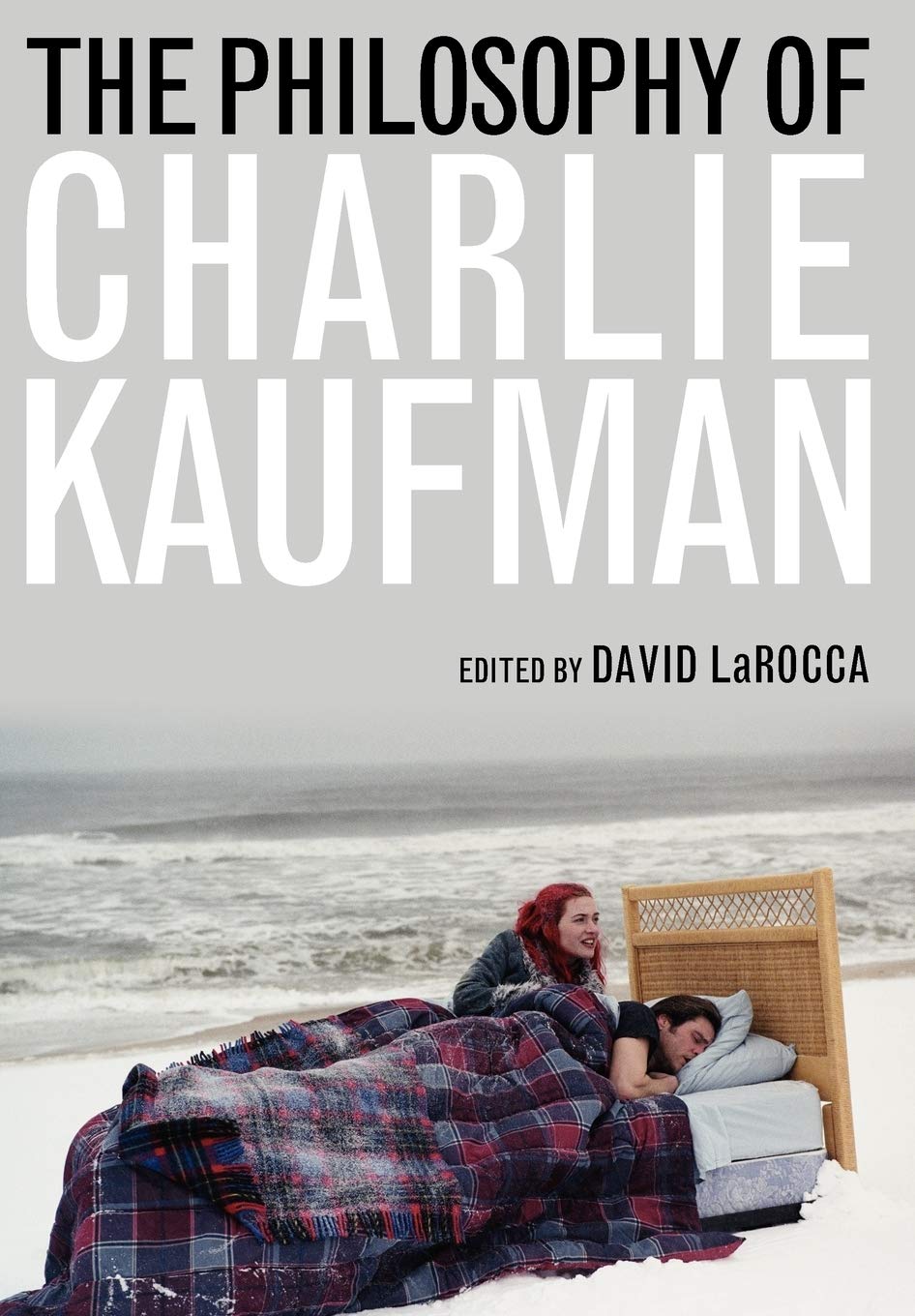 The Philosophy Of Charlie Kaufman (Philosophy Of Popular Culture),Used