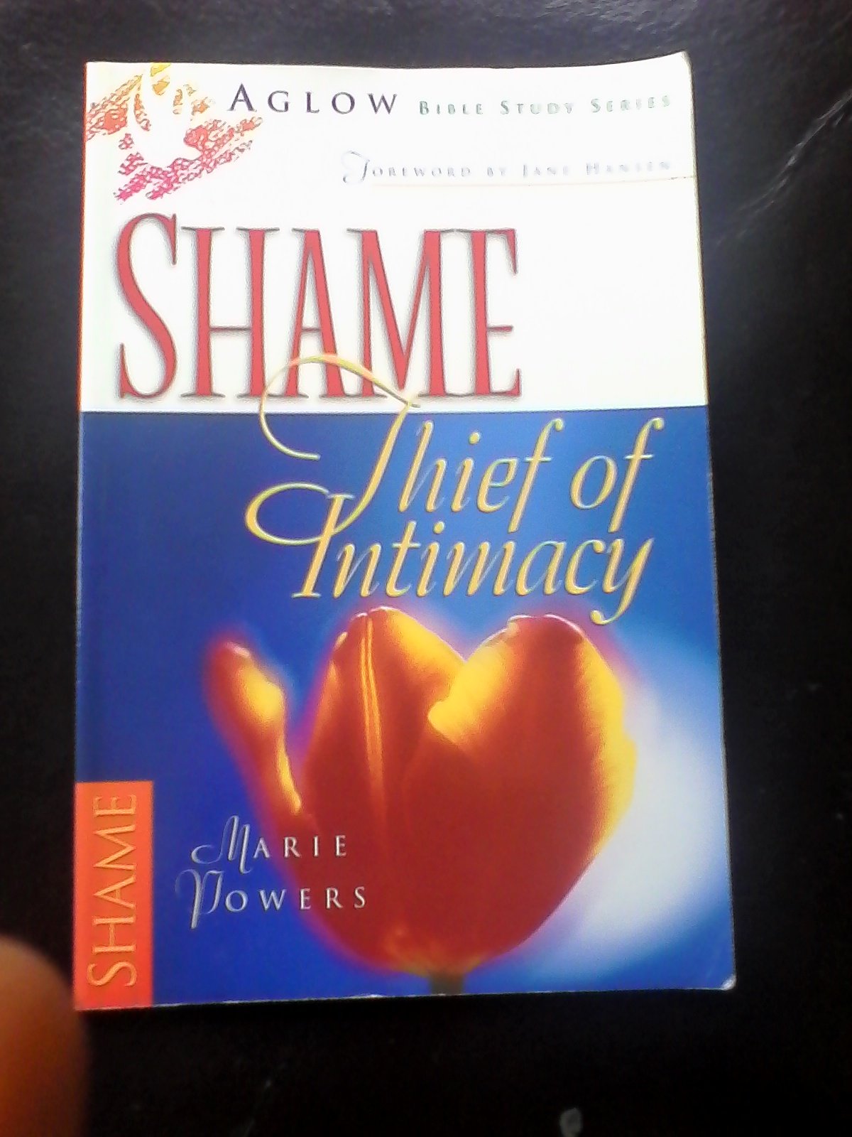 Shame: Thief Of Intimacy : Unmasking The Accuser,New