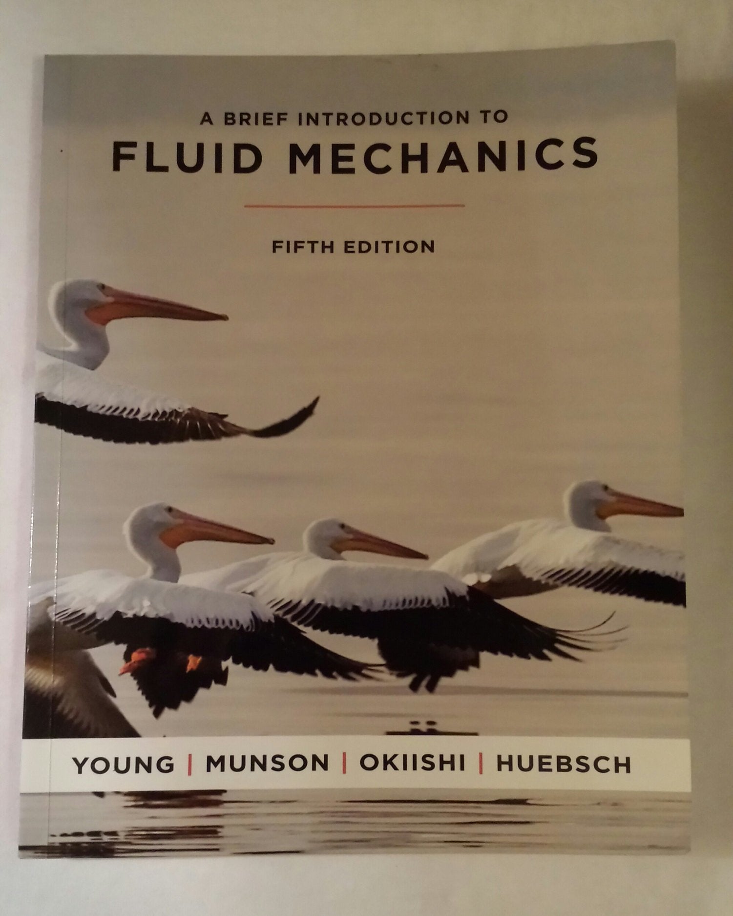 A Brief Introduction to Fluid Mechanics,New