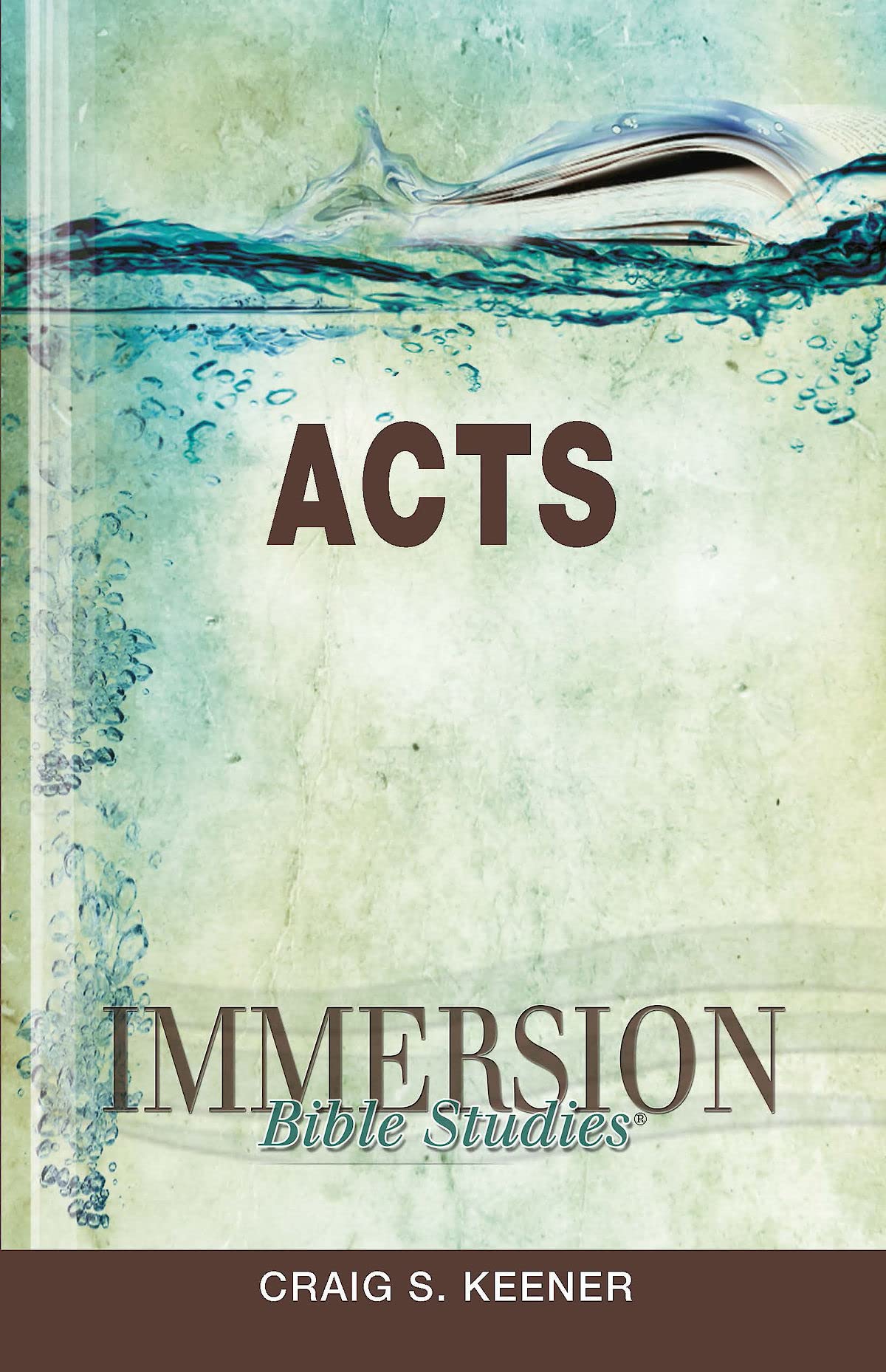 Immersion Bible Studies: Acts,Used