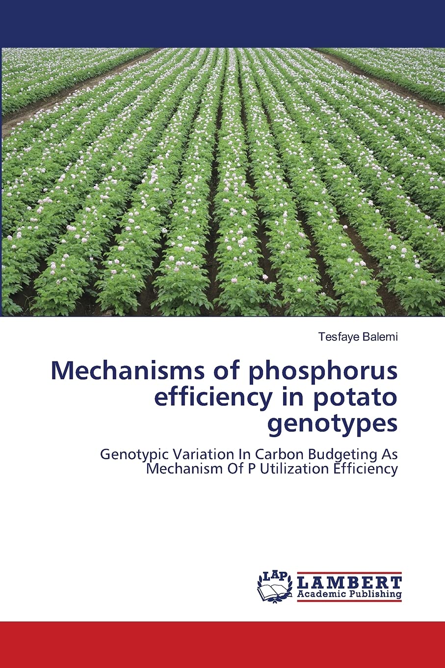 Mechanisms of phosphorus efficiency in potato genotypes: Genotypic Variation In Carbon Budgeting As Mechanism Of P Utilization E,Used