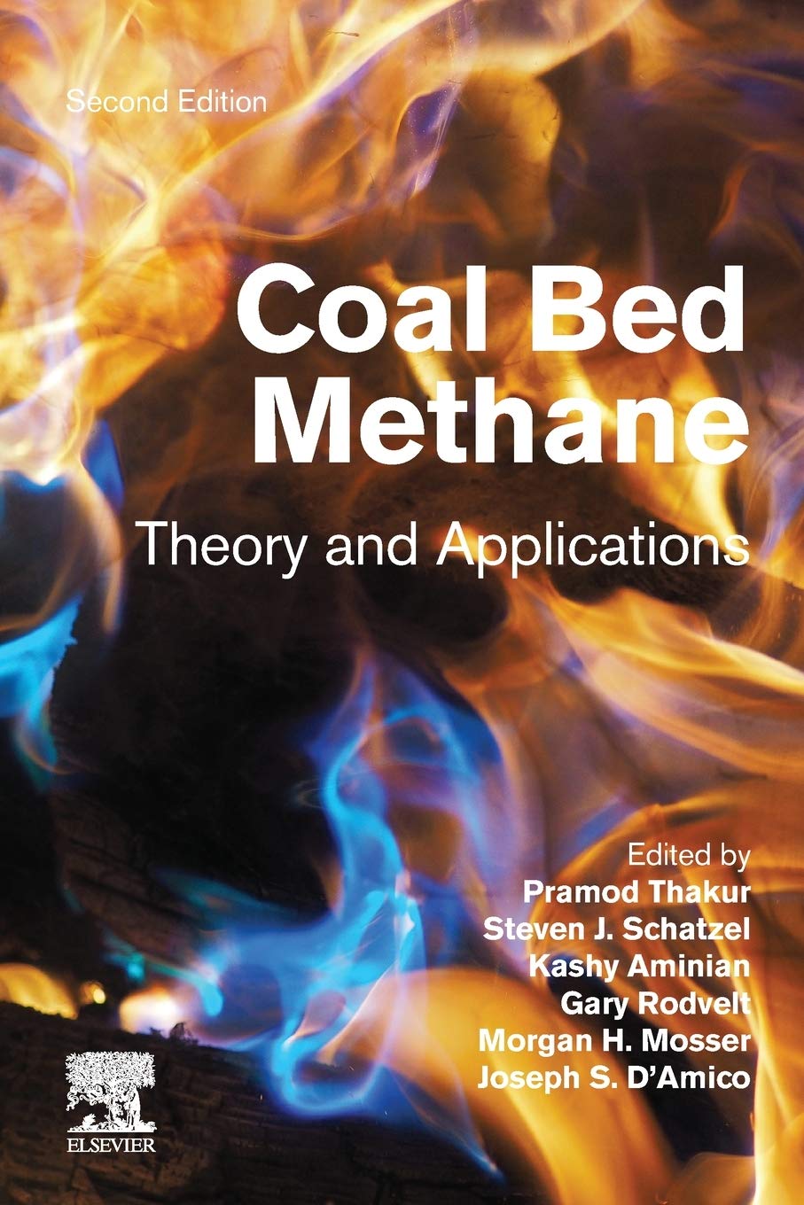 Coal Bed Methane: Theory and Applications,Used
