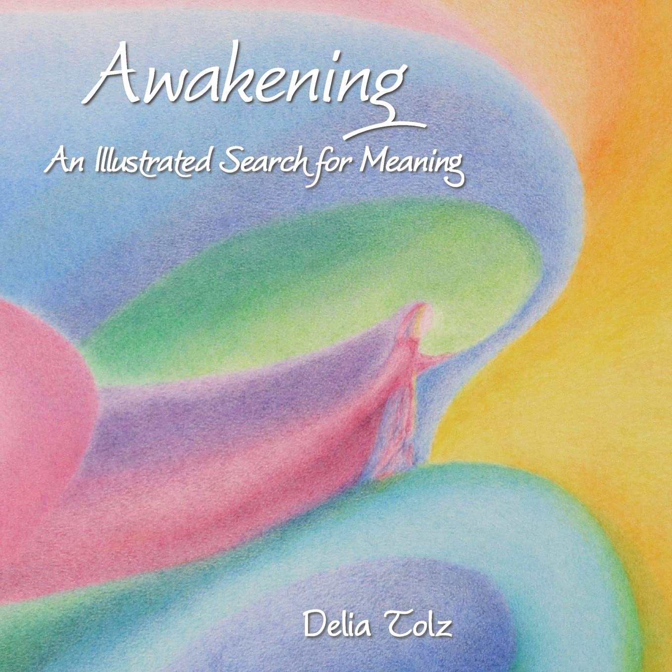 Awakening: An Illustrated Search For Meaning,Used