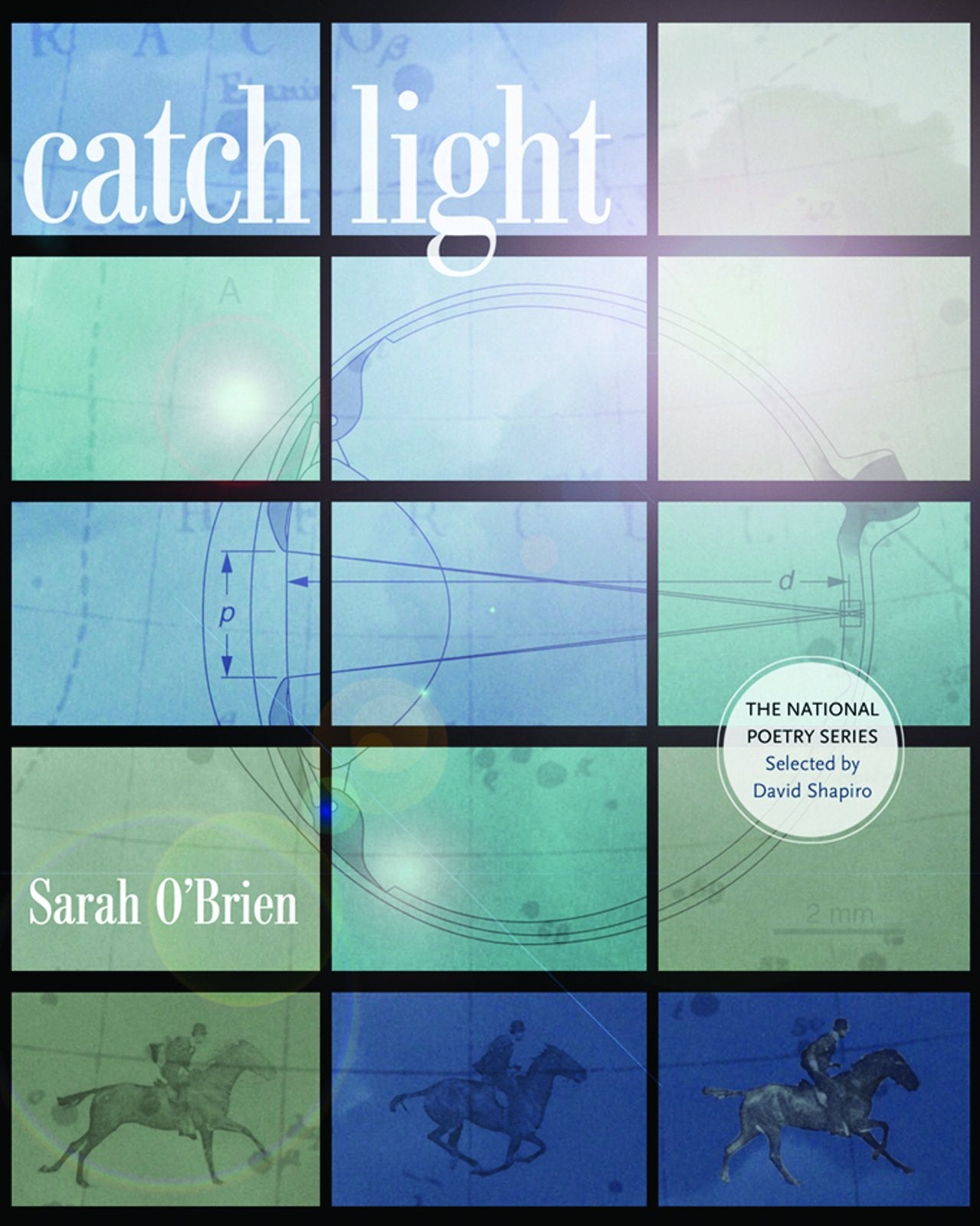 Catch Light (The National Poetry Series),Used