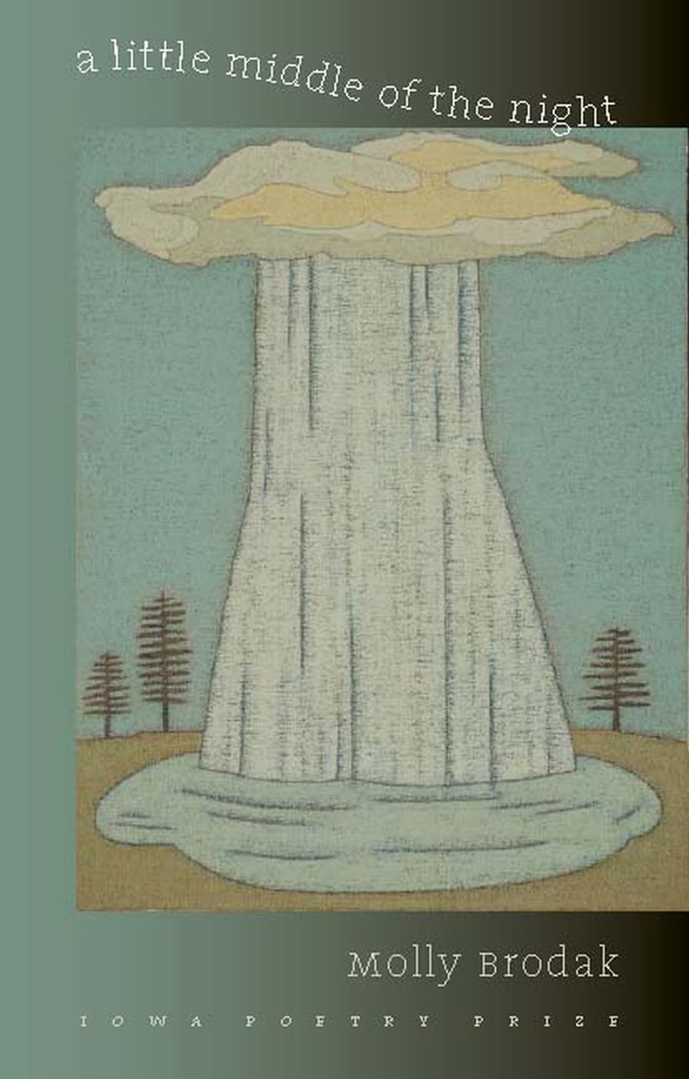 A Little Middle of the Night (Iowa Poetry Prize),Used