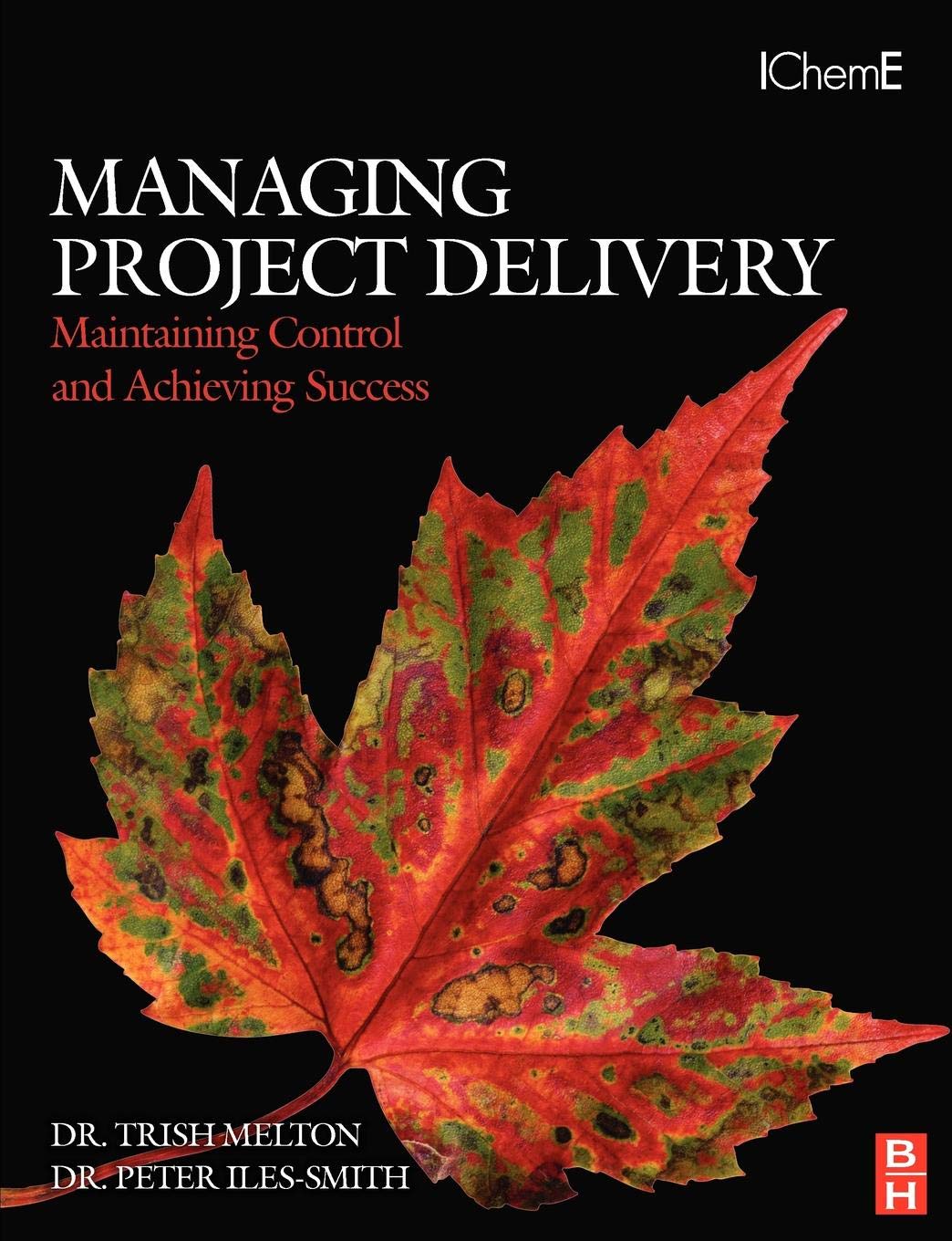 Managing Project Delivery: Maintaining Control and Achieving Success,Used