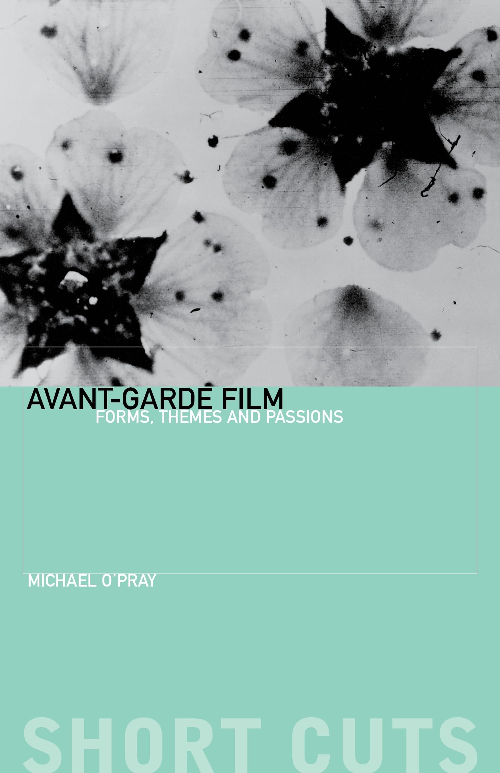 AvantGarde Film: Forms, Themes and Passions (Short Cuts),Used
