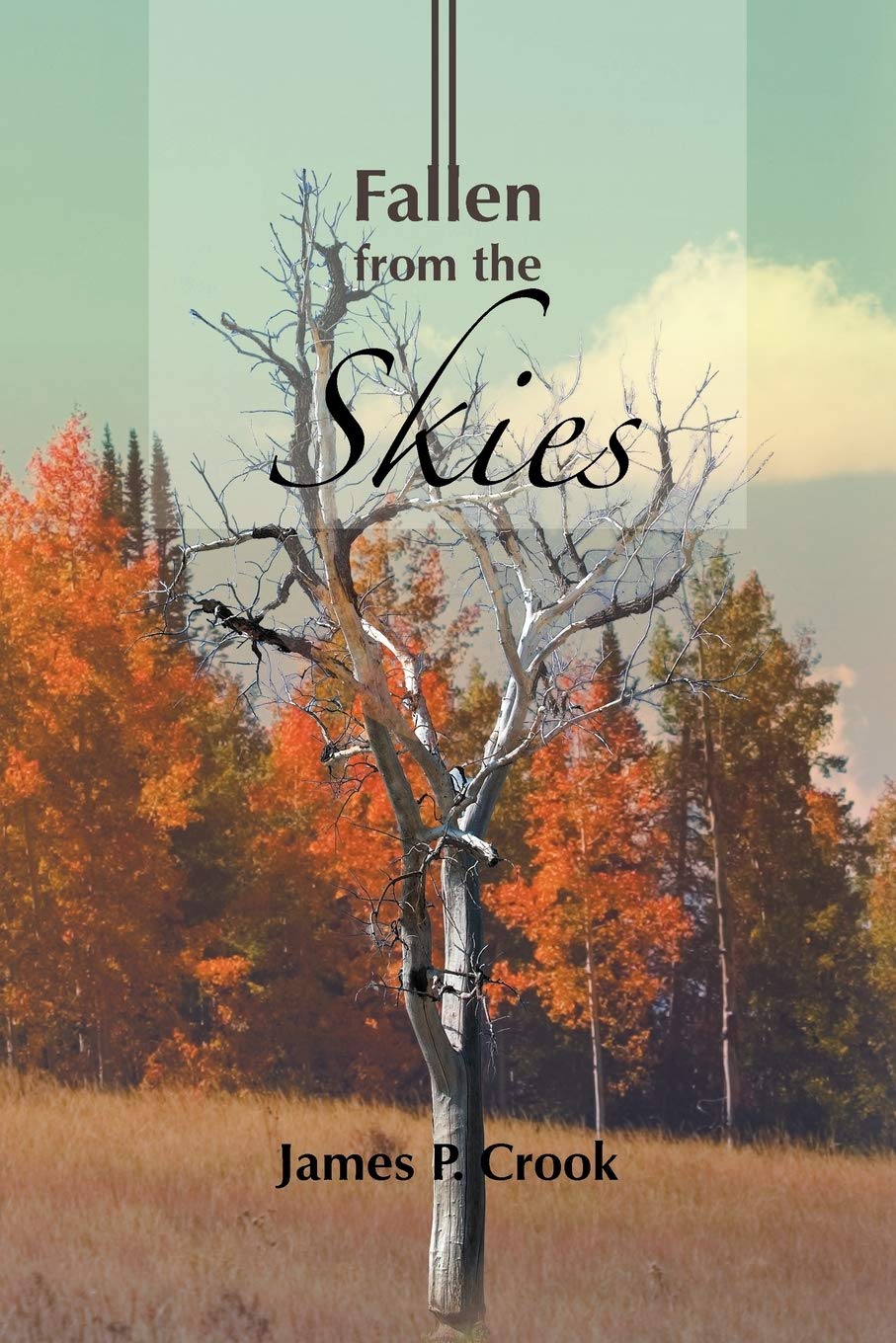 Fallen From The Skies,Used