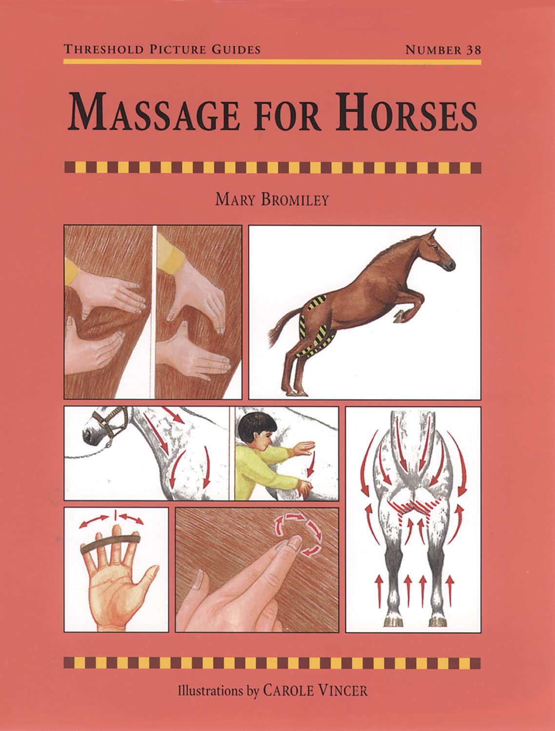 Massage For Horses (Threshold Picture Guides),Used