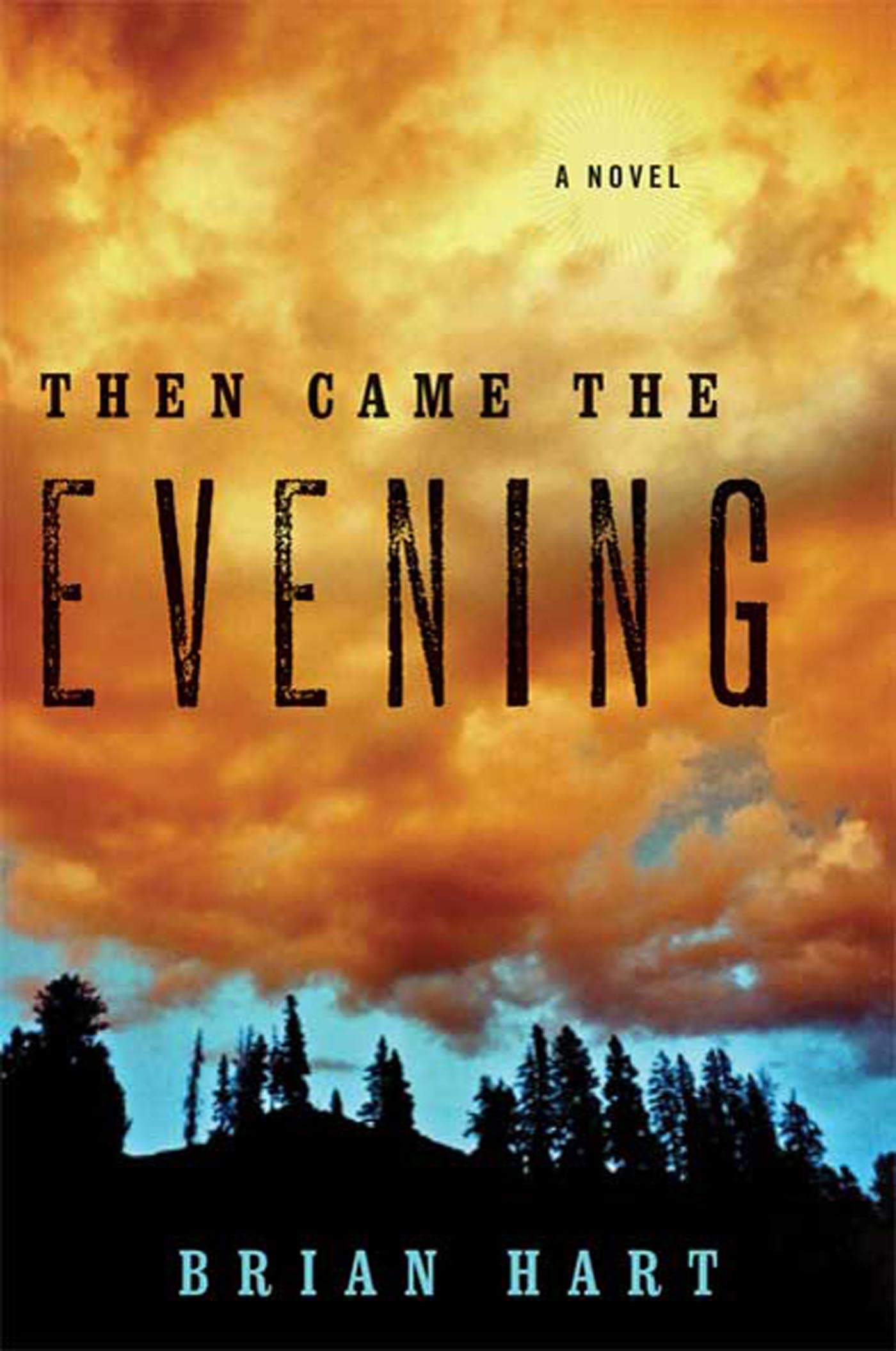 Then Came the Evening,Used