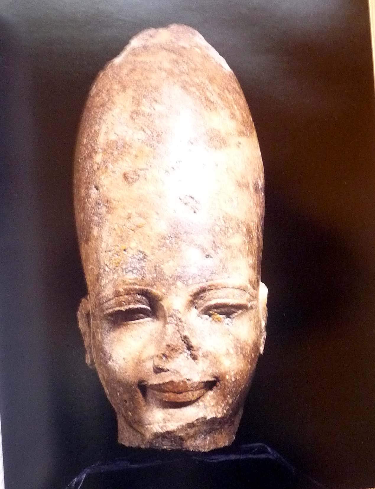 Pharaohs Of The Sun: Akhenaten, Nefertiti, & Tutankhamen,Used