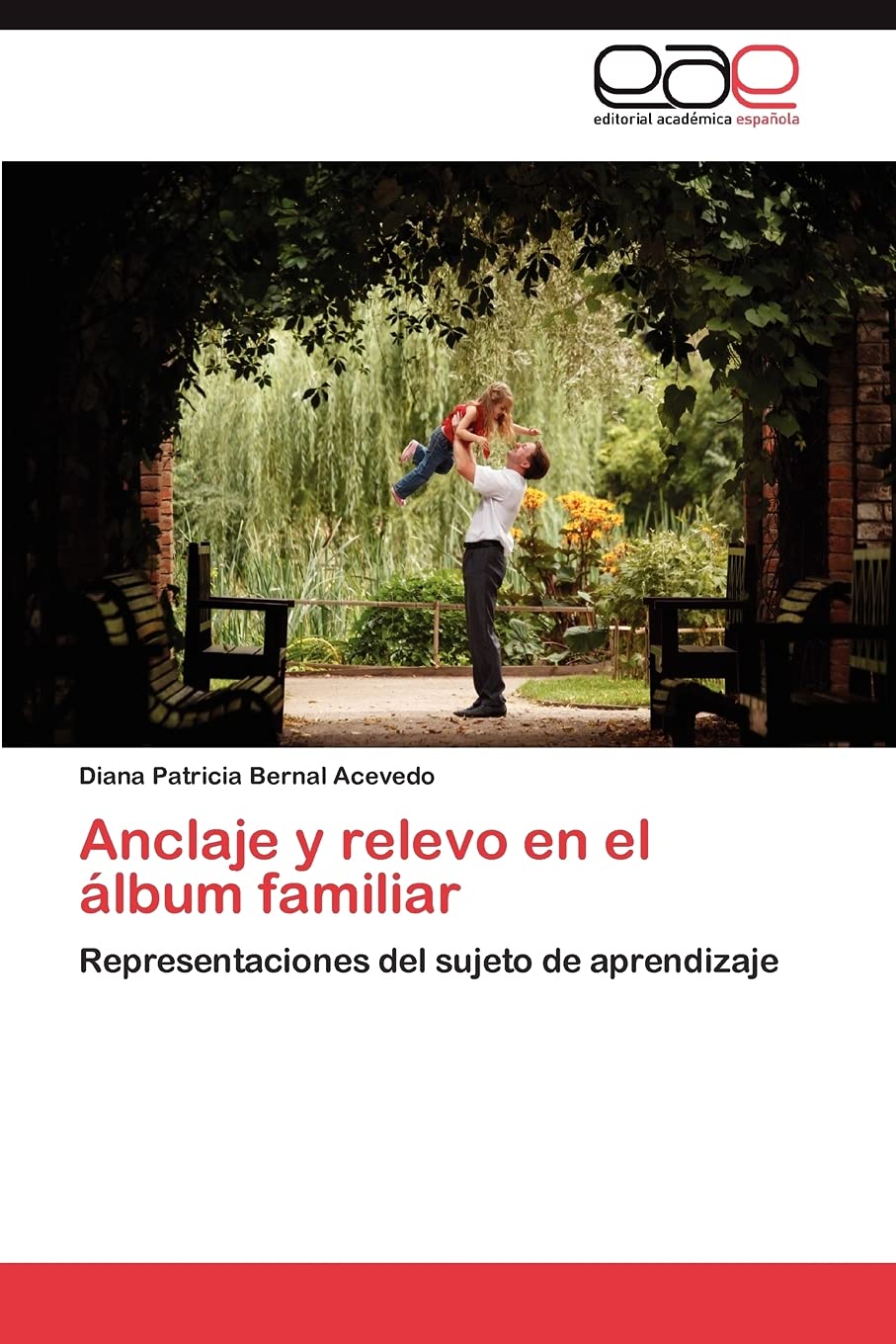 Anclaje y relevo en el lbum familiar: Representaciones del sujeto de aprendizaje (Spanish Edition),Used