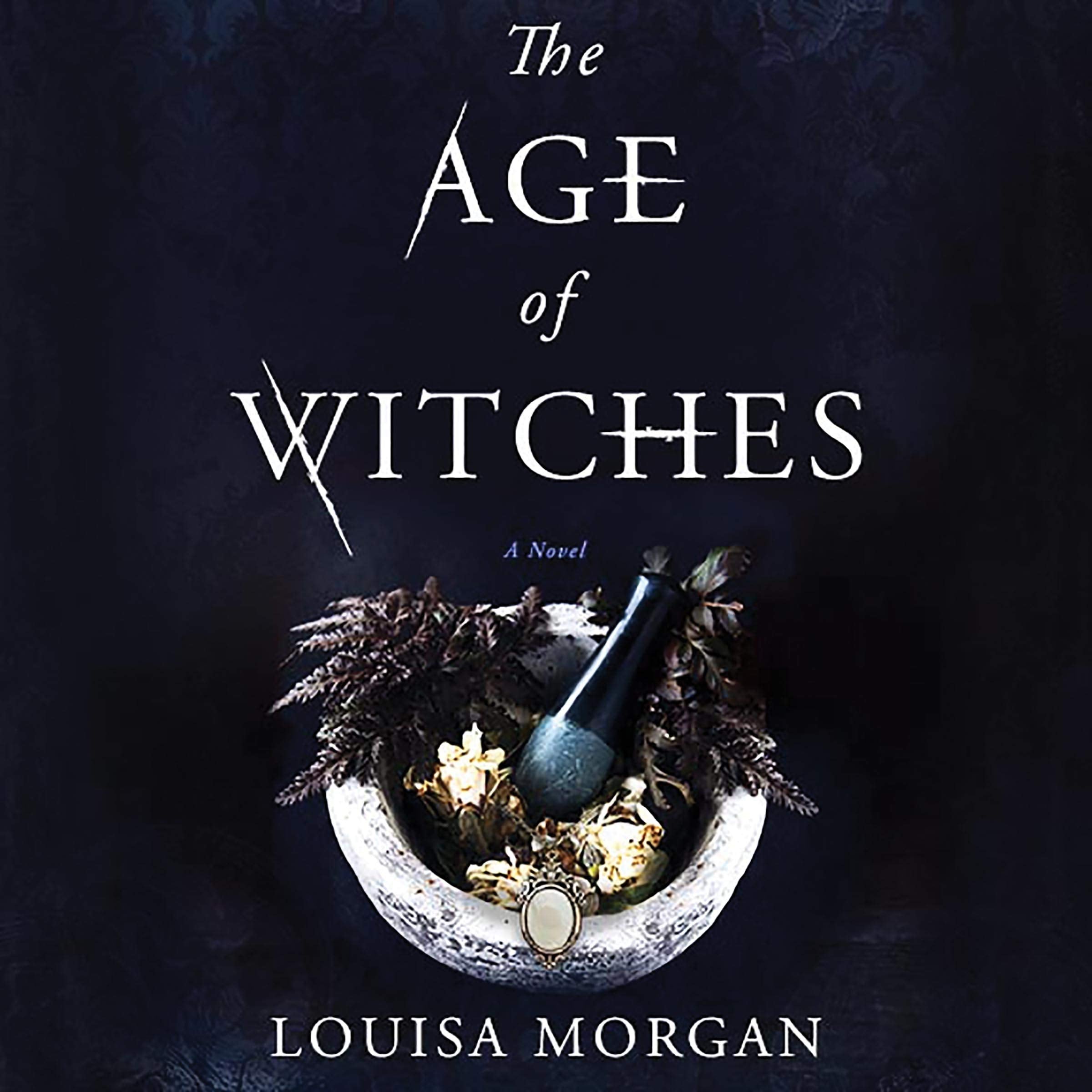 The Age of Witches Lib/E,Used