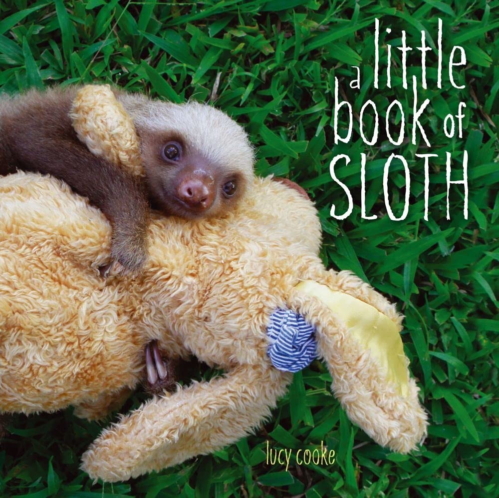 A Little Book of Sloth,Used