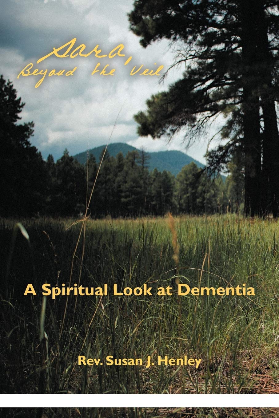 Sara, Beyond The Veil: A Spiritual Look At Dementia,Used