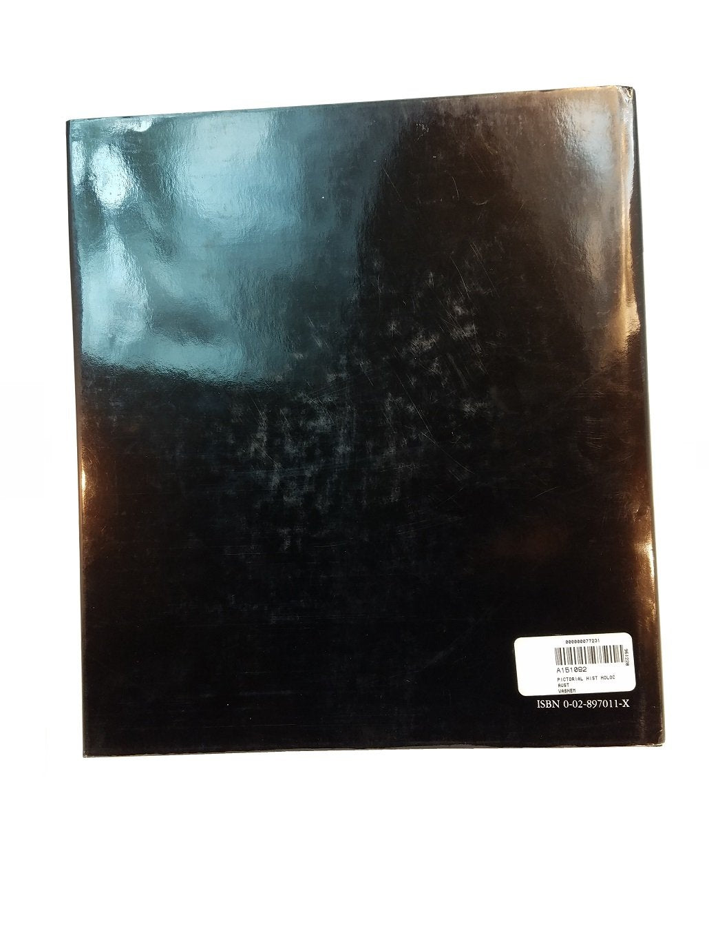 The Pictorial History of the Holocaust,New