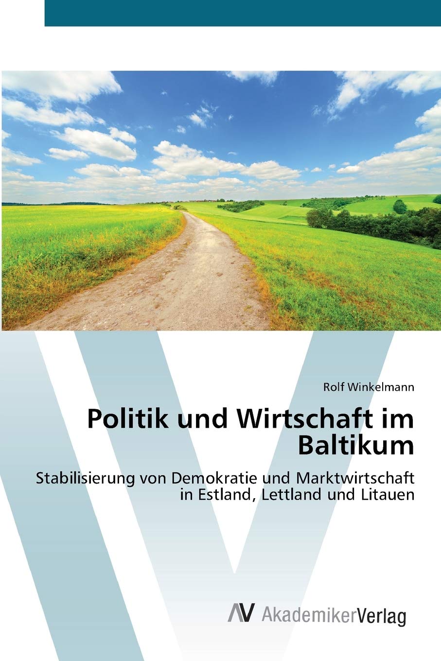 Politik und Wirtschaft im Baltikum: Stabilisierung von Demokratie und Marktwirtschaft in Estland, Lettland und Litauen (German E,Used