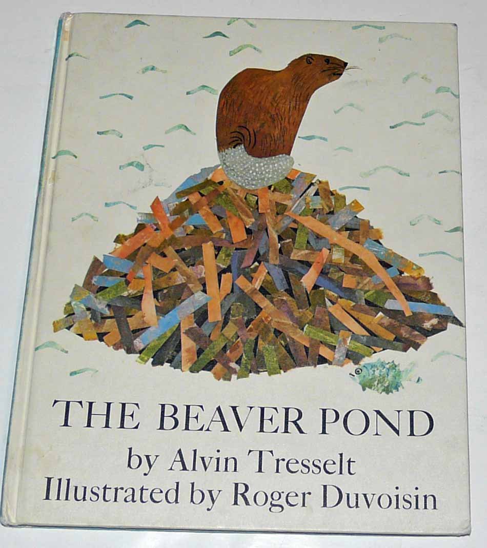 The Beaver Pond,Used