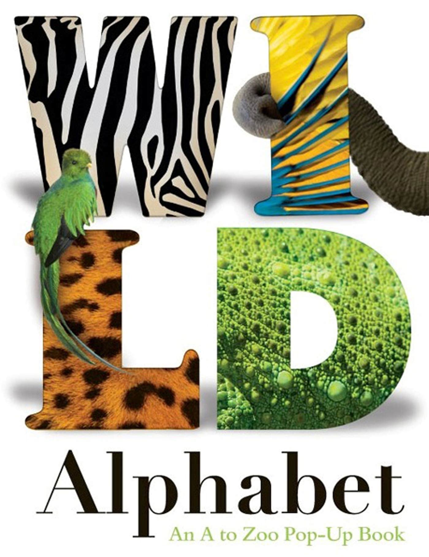 Wild Alphabet: An A To Zoo Popup Book