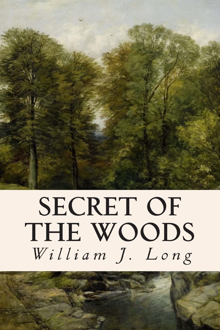 Secret Of The Woods