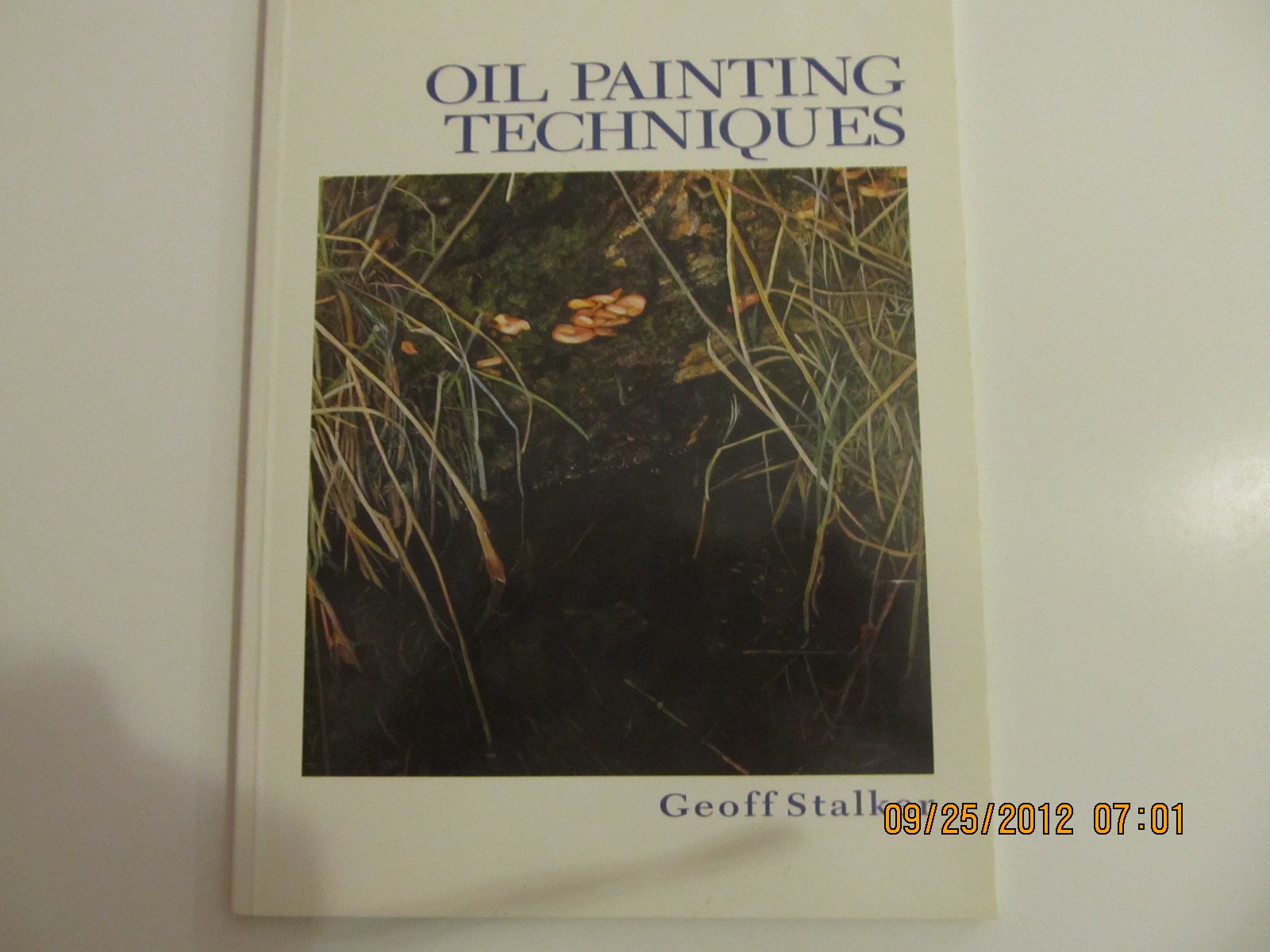 Oil Painting Techniques (Crowood Art Class),Used