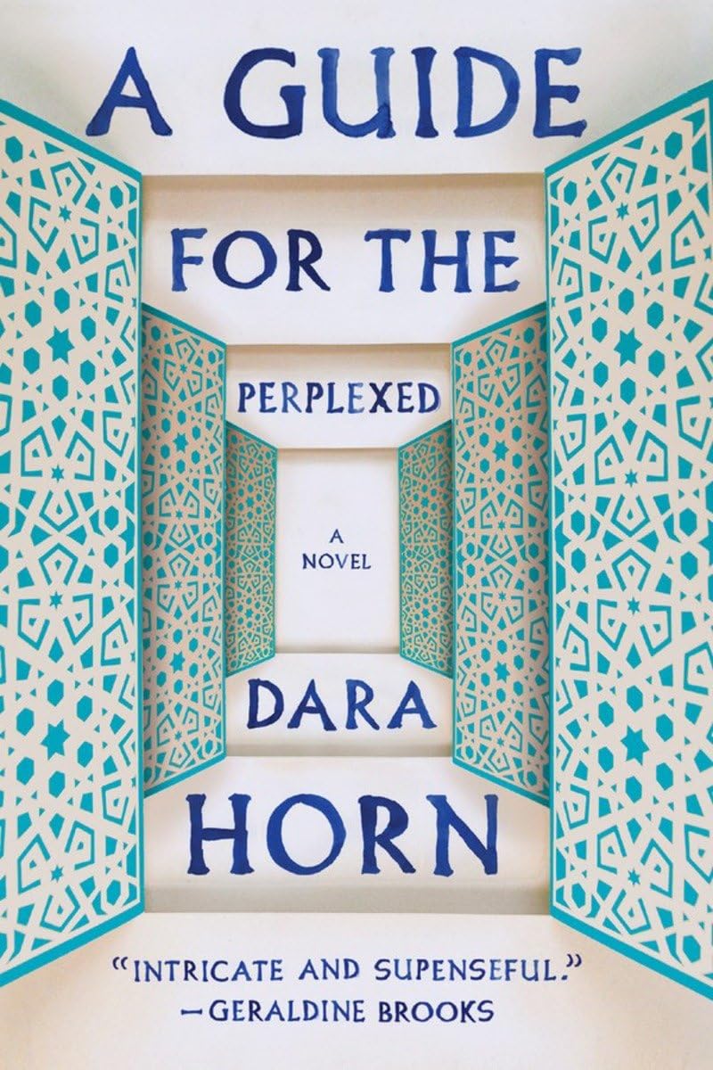 A Guide for the Perplexed: A Novel,Used