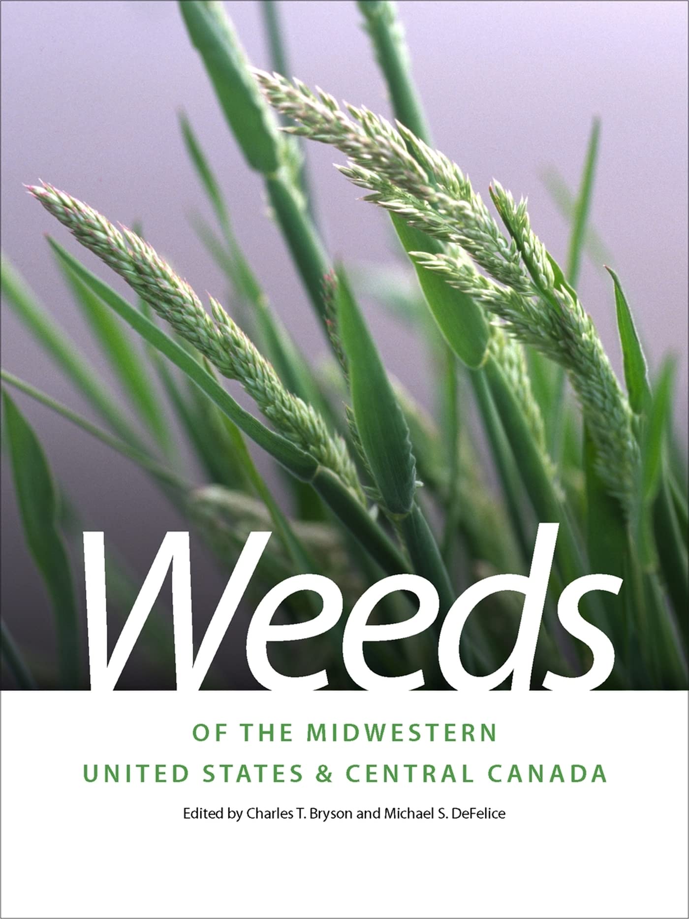Weeds Of The Midwestern United States And Central Canada (Wormsloe Foundation Nature Books),Used