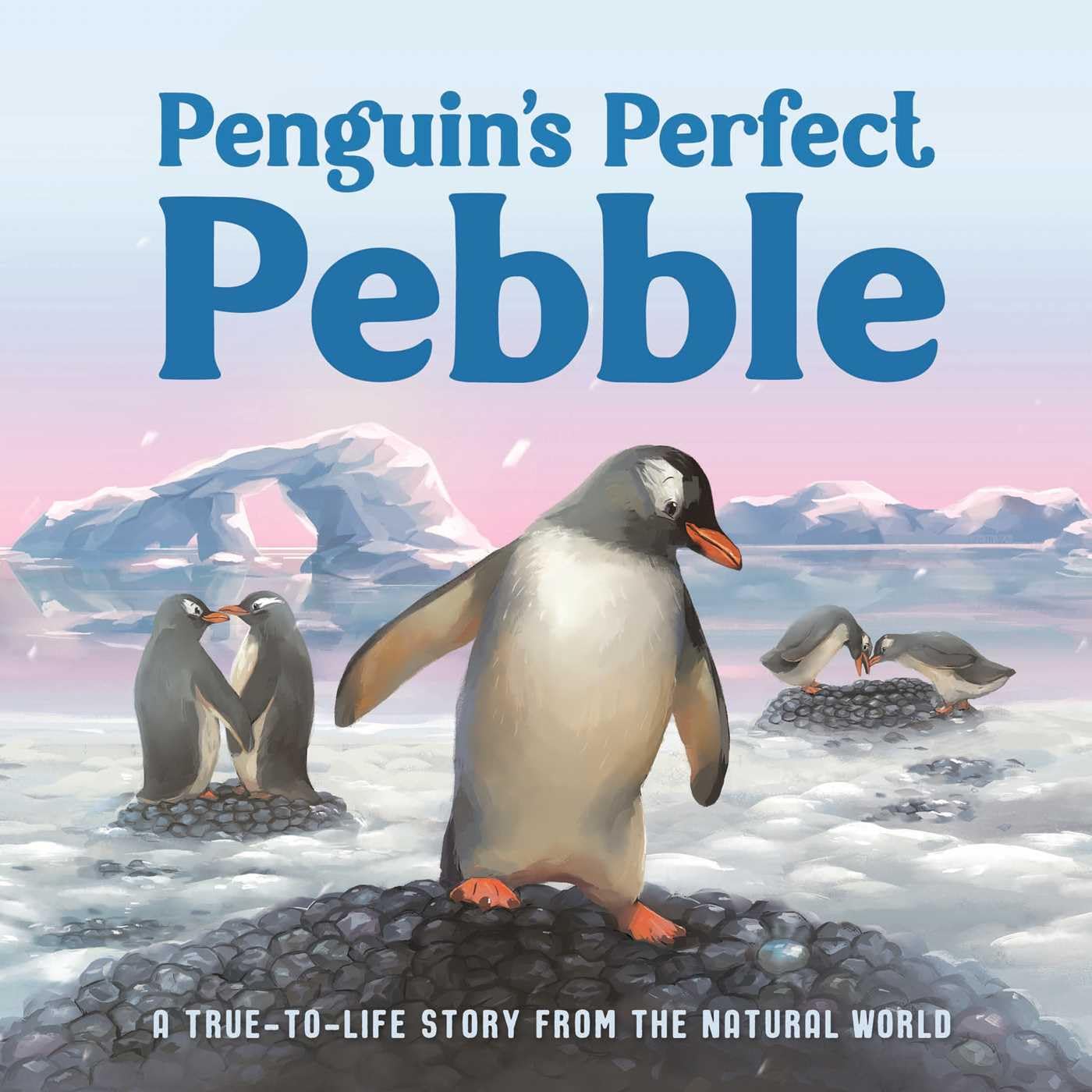 Penguin'S Perfect Pebble: A Truetolife Story From The Natural World, Ages 5 & Up