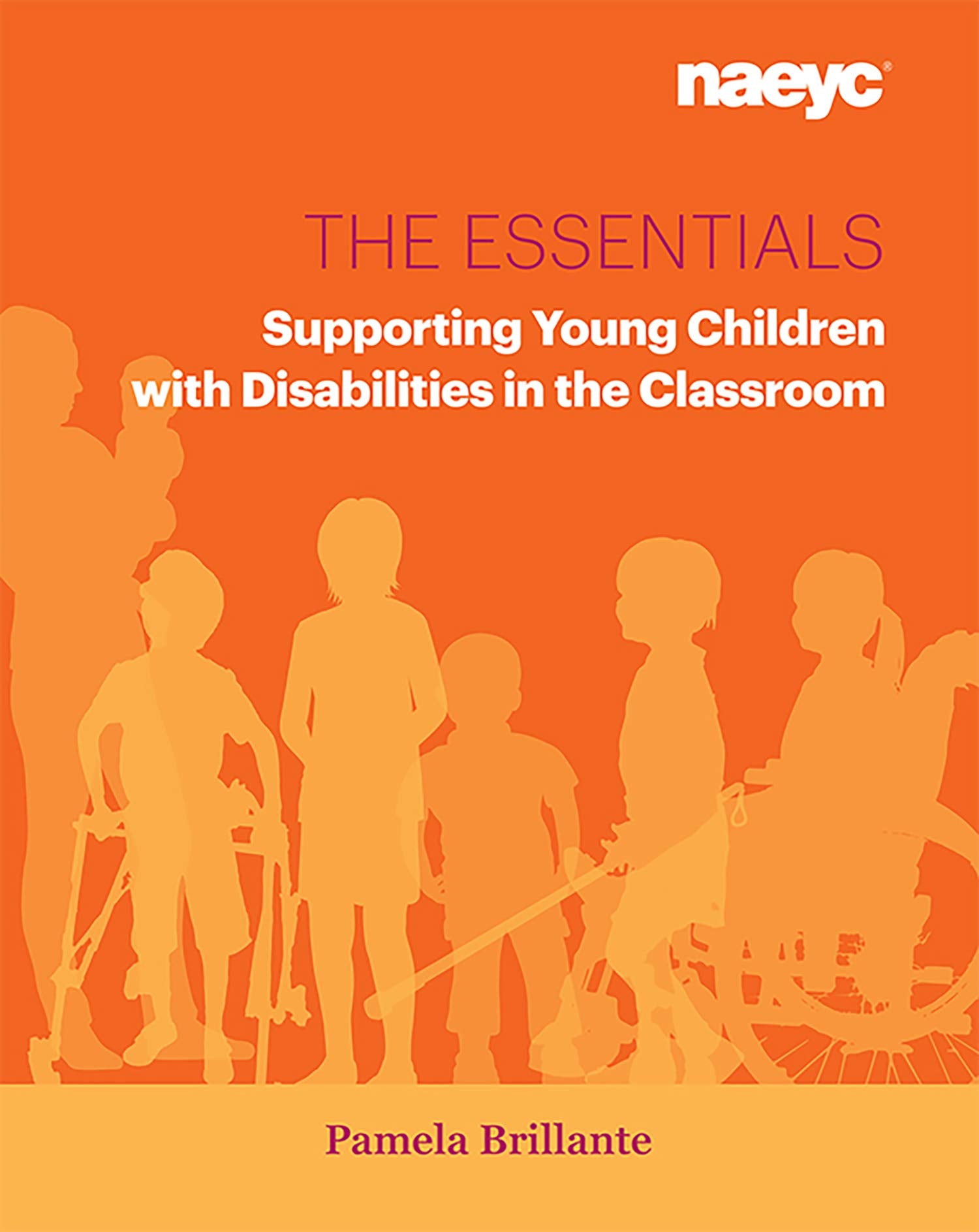 The Essentials: Supporting Young Children with Disabilities in the Classroom (The Essentials Series),Used