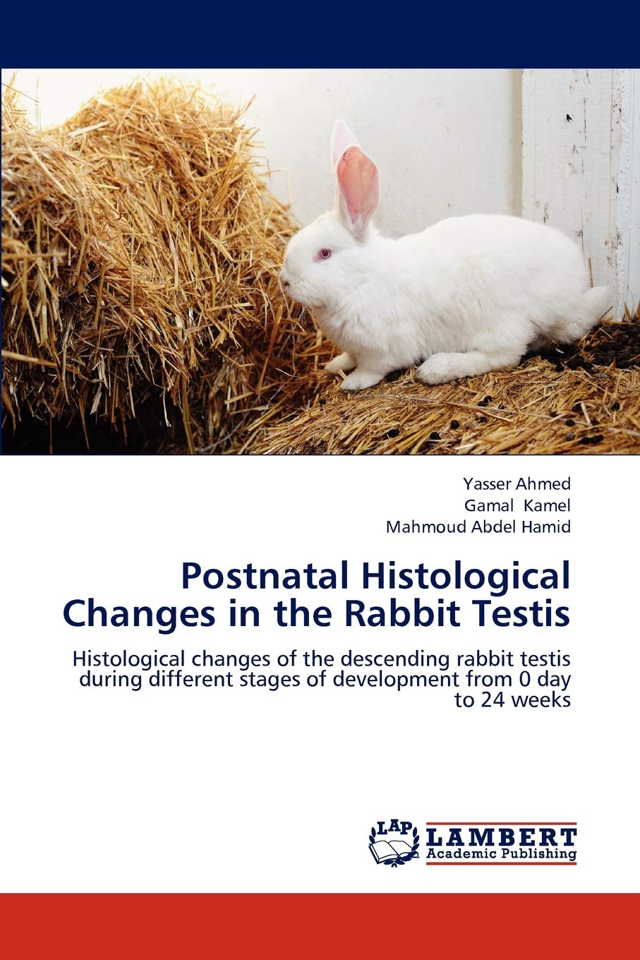 Postnatal Histological Changes in the Rabbit Testis: Histological changes of the descending rabbit testis during different stage,Used