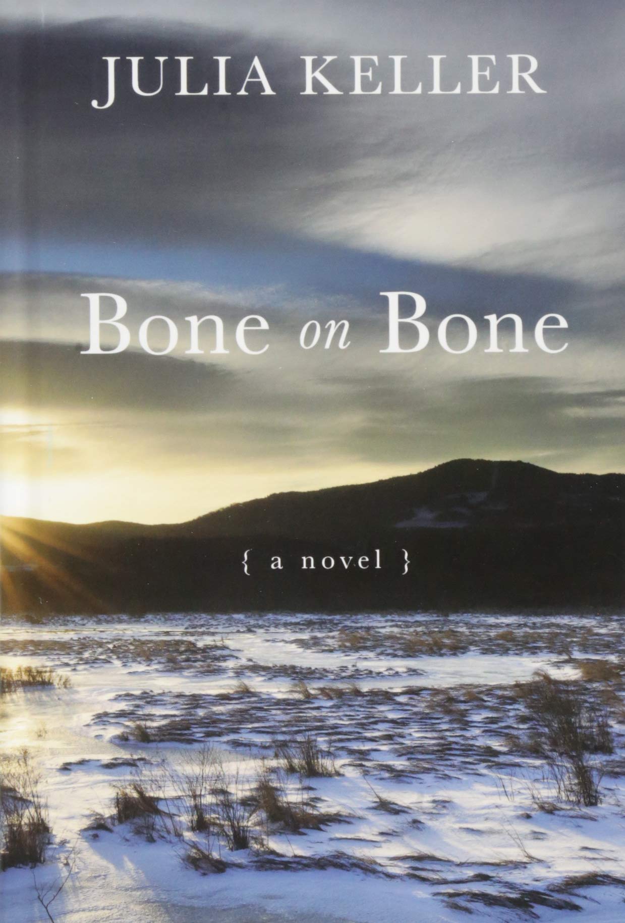Bone on Bone (A Bell Elkins Novel),Used