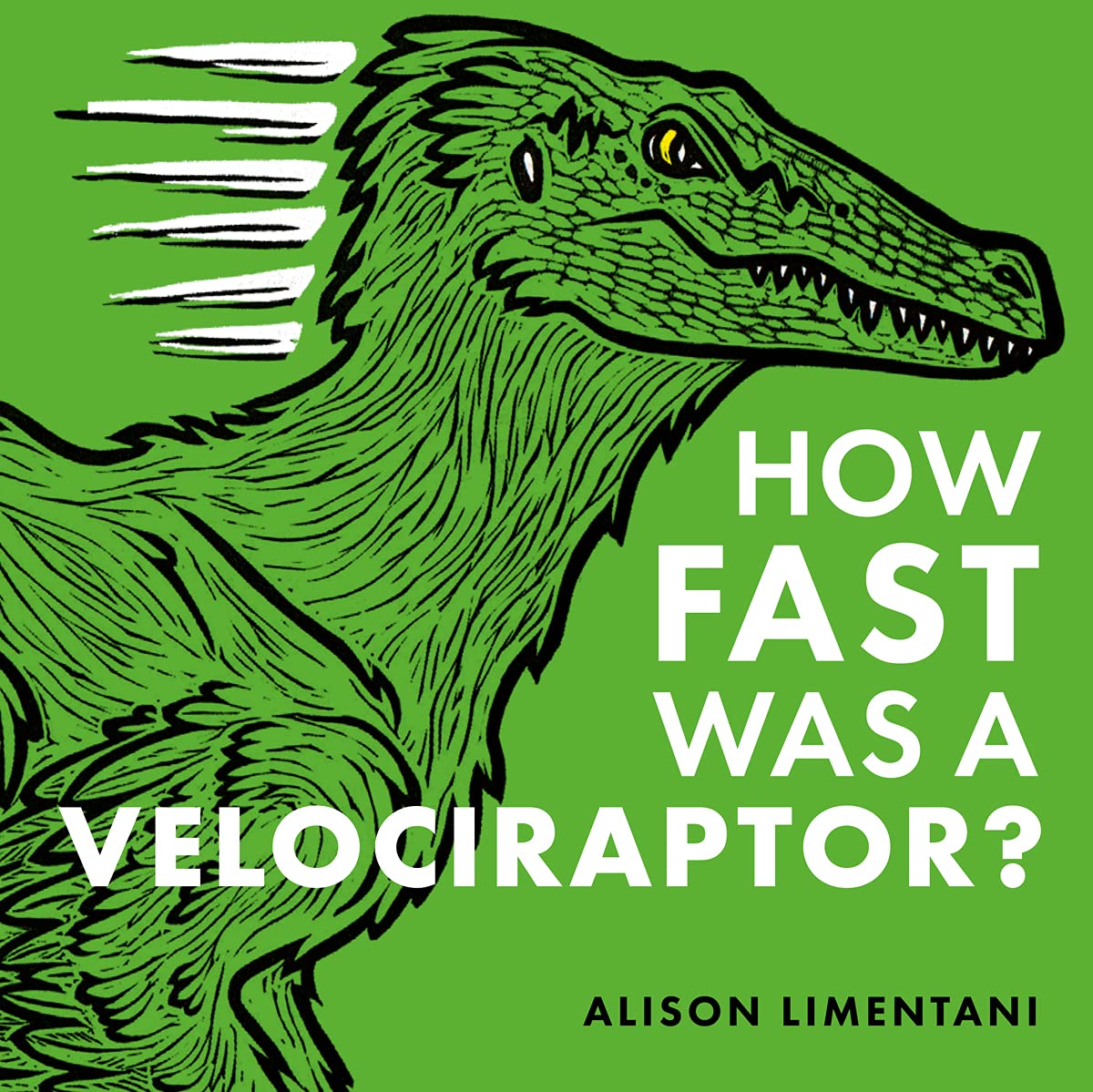 How Fast Was a Velociraptor? (Wild Facts & Amazing Math),Used