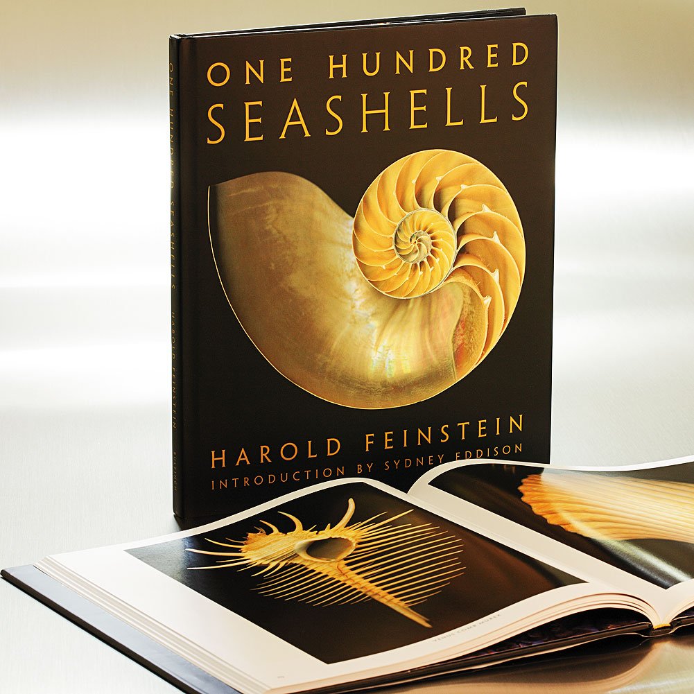 One Hundred Seashells,New